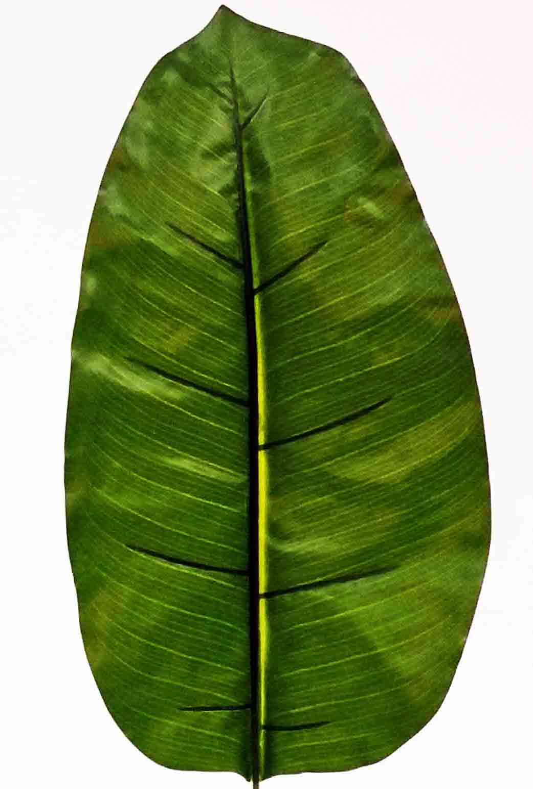 BL43 - 43" Banana Leaf - 3.65 ea, 3.40/12