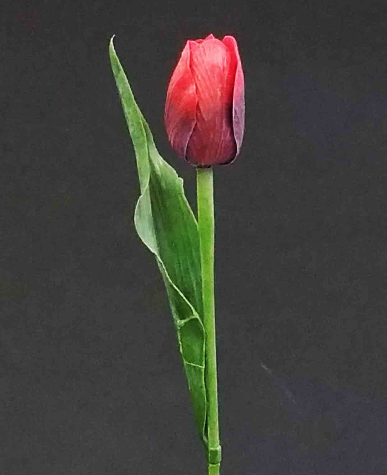 TP11 - 19" Single Tulip - 1.35 ea, 1.10/24