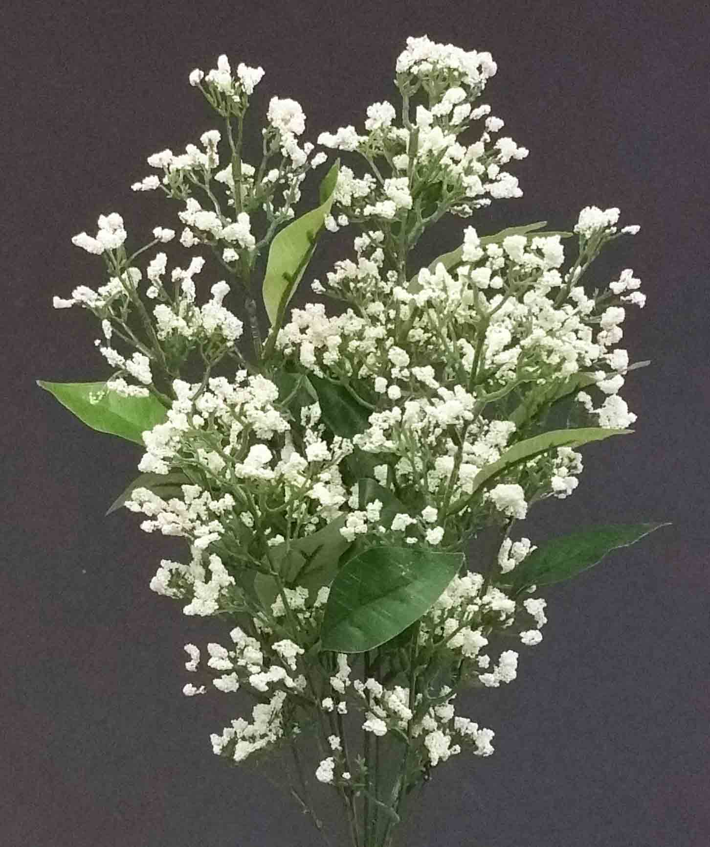 CB99 - 18" Cream Cluster Berry Bush - 5.75 ea, 5.25/12