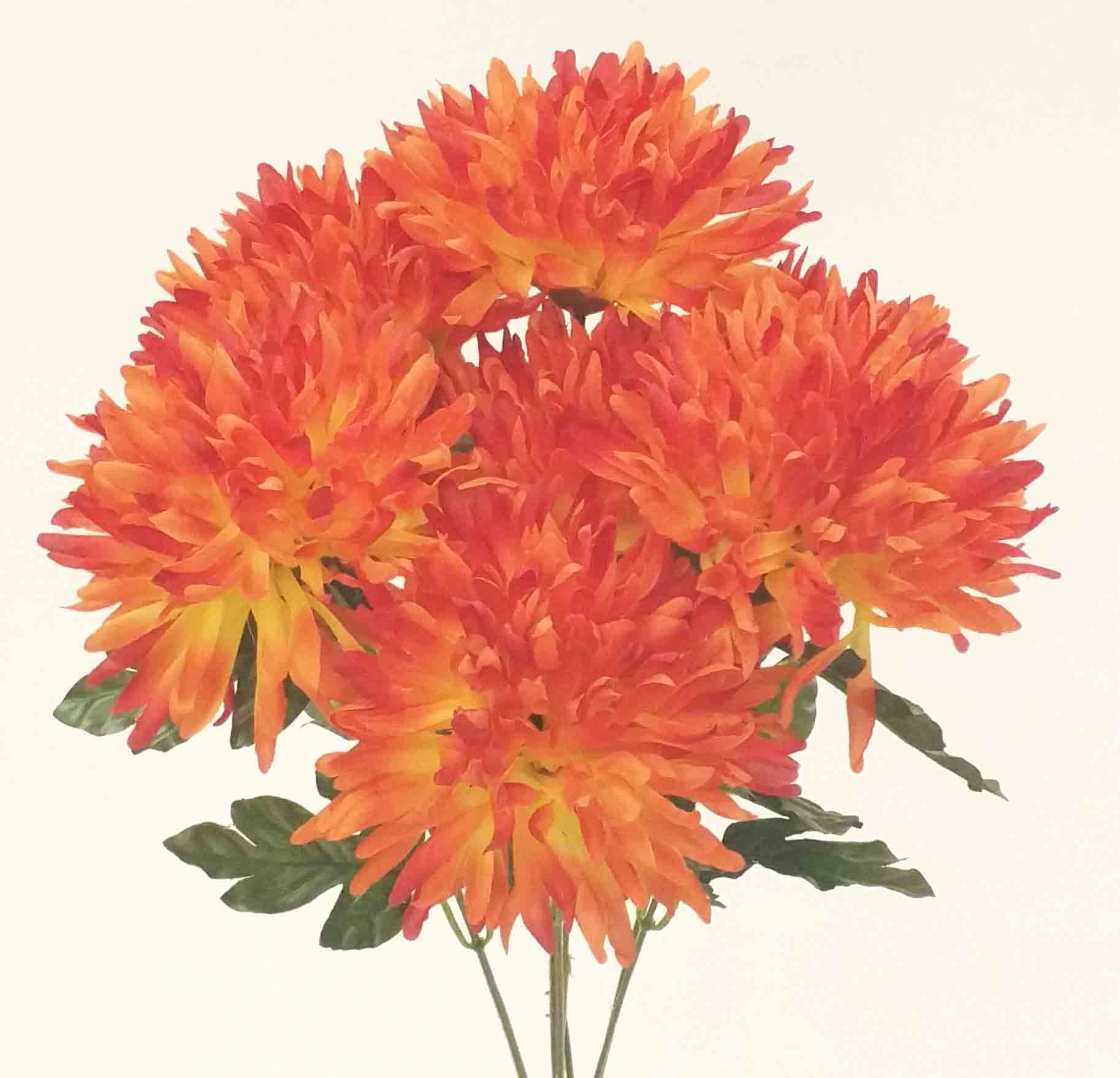 MB77 - 19" Mum Bush - 6.95 ea, 6.50/12