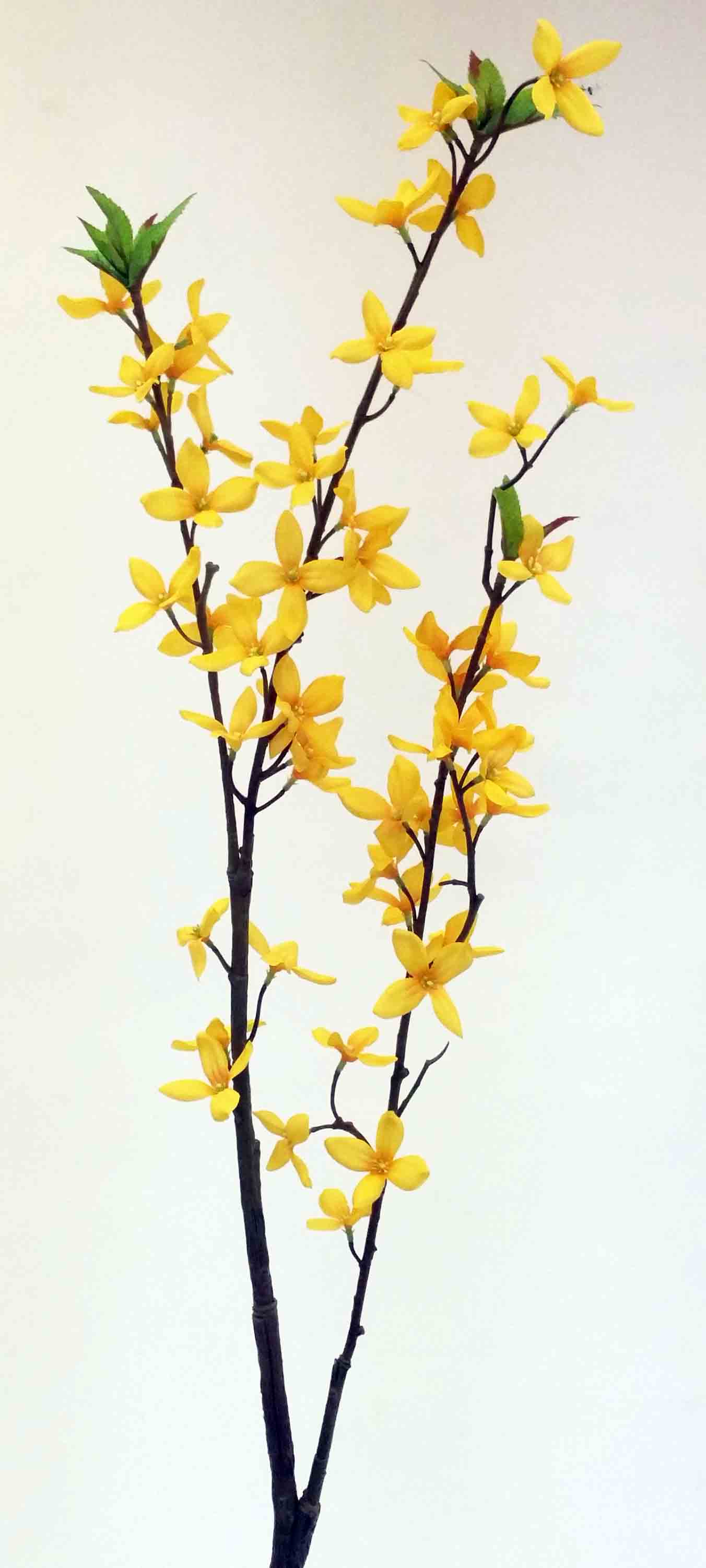 F33 - 32" Forsythia Spray - 5.85 ea, 5.30/12