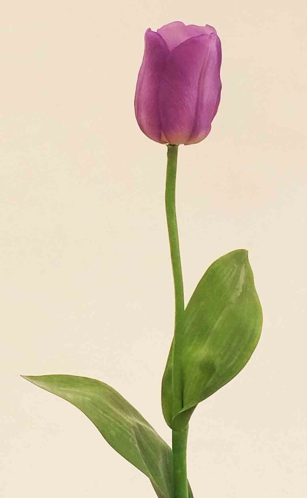 T26R - 26" Real Touch Tulip - 3.55 ea, 3.30/24