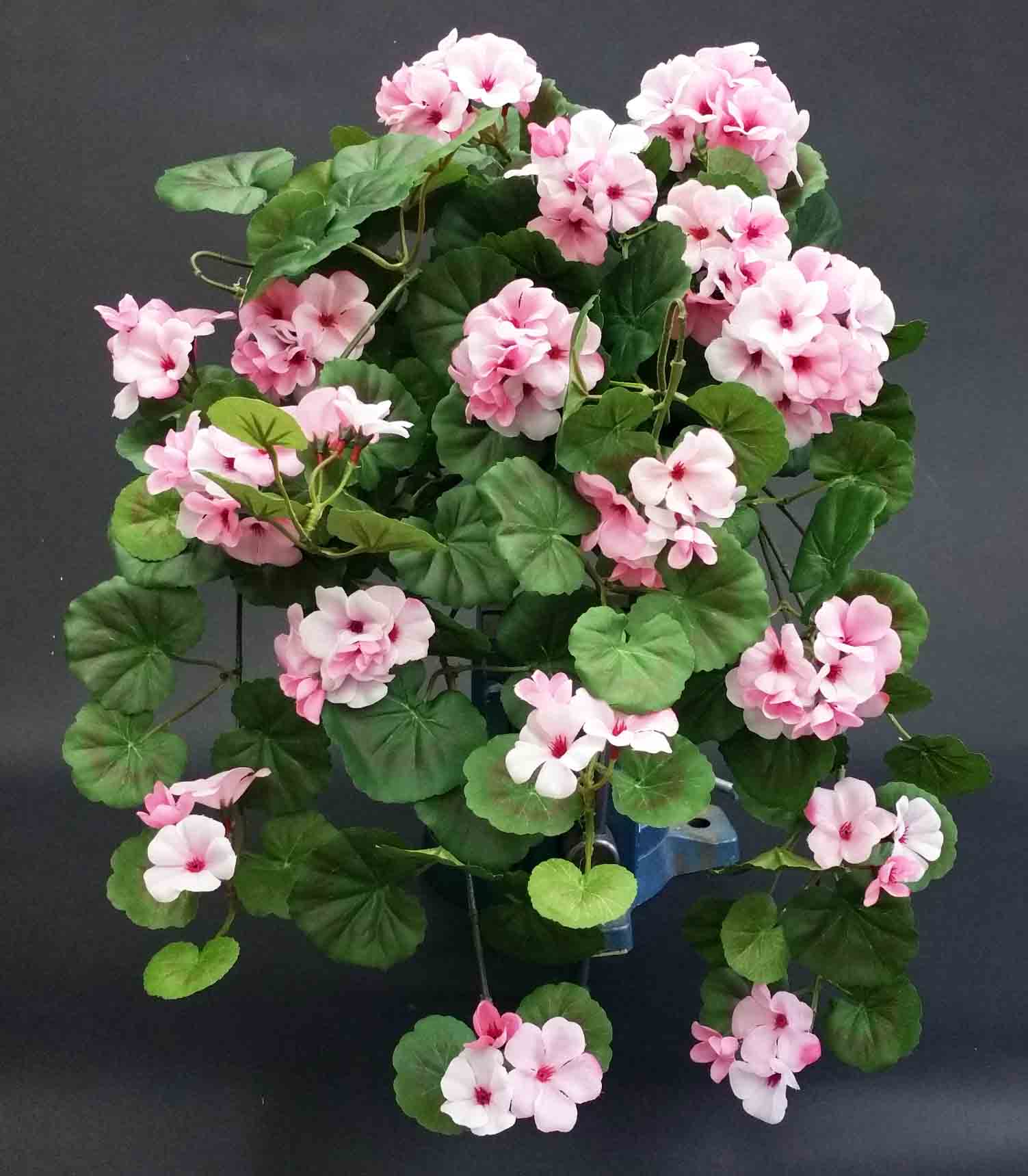 GH12 - 21" Deluxe Hanging Geranium - 19.95 ea, 19.55/4