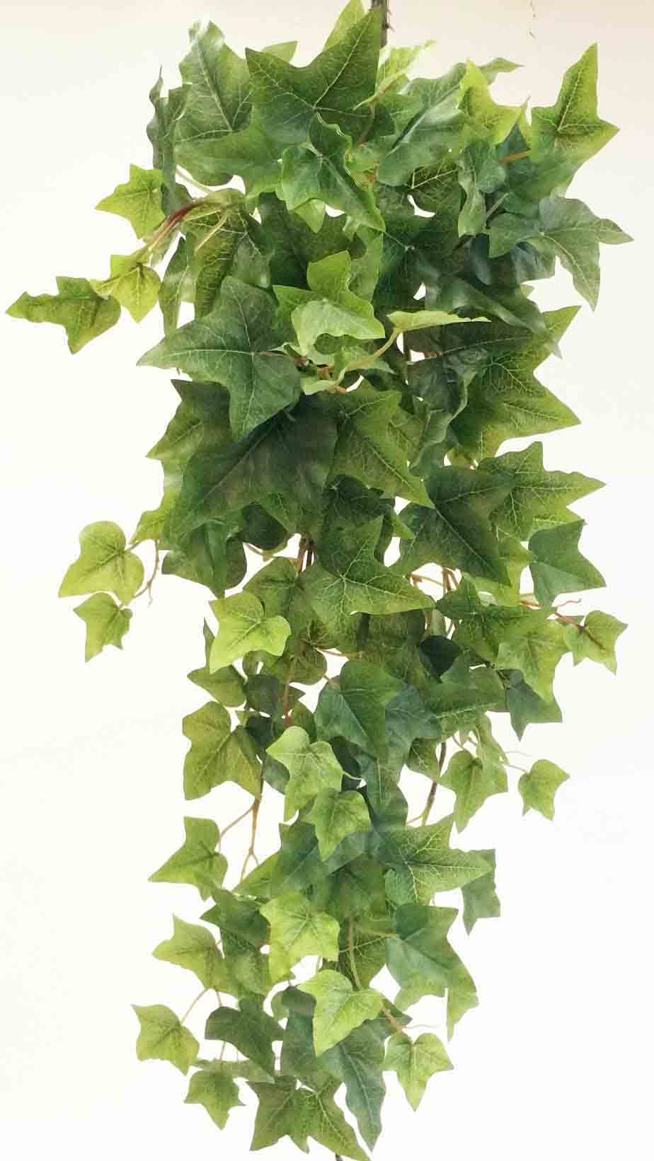 IV35 - 35" Hanging Ivy Bush - 15.60 ea
