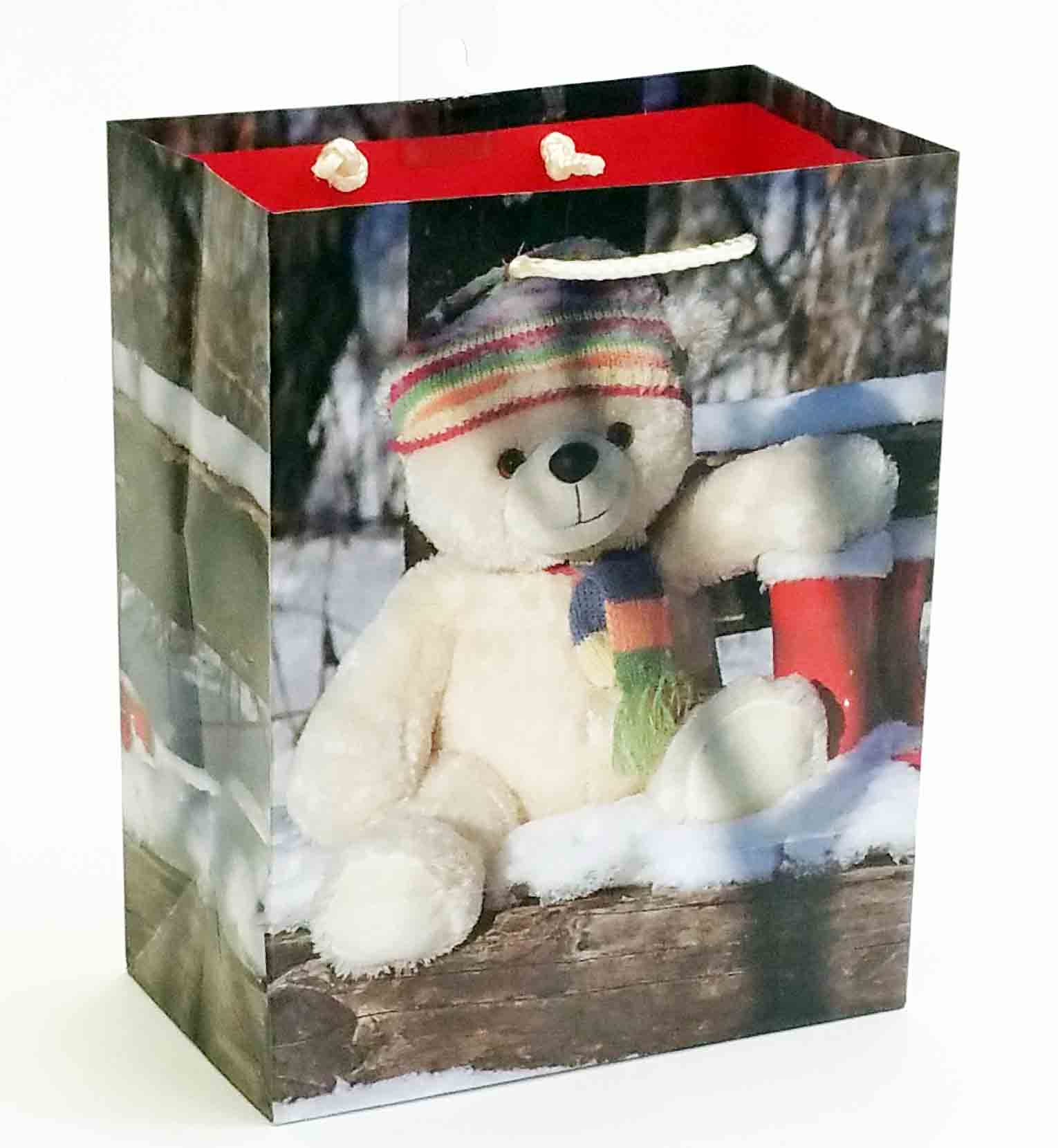 X316 - 4 x 7 x 9" Medium Gift Bag - .95 ea, .75/12