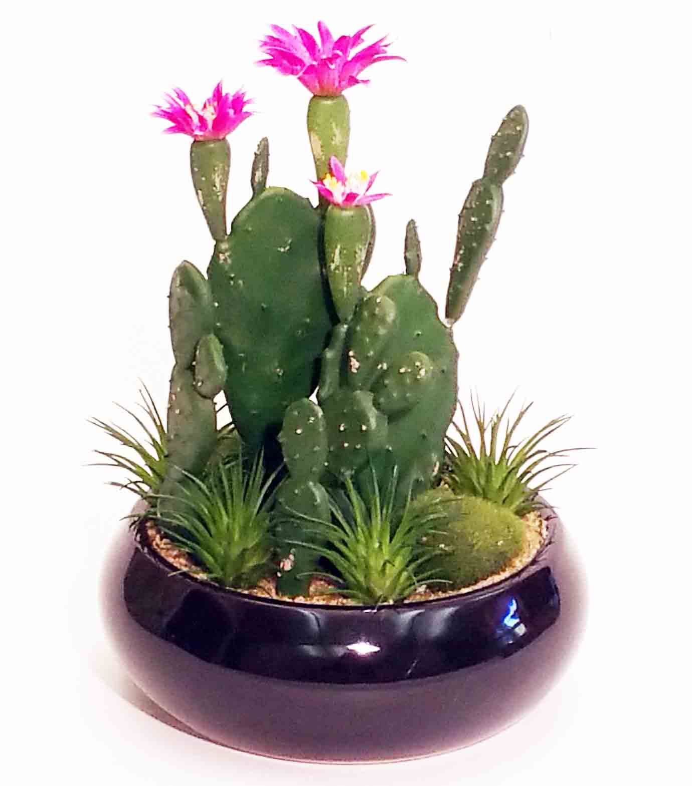 CA9 - 8.5" Cactus Arrangement - 13.50 ea