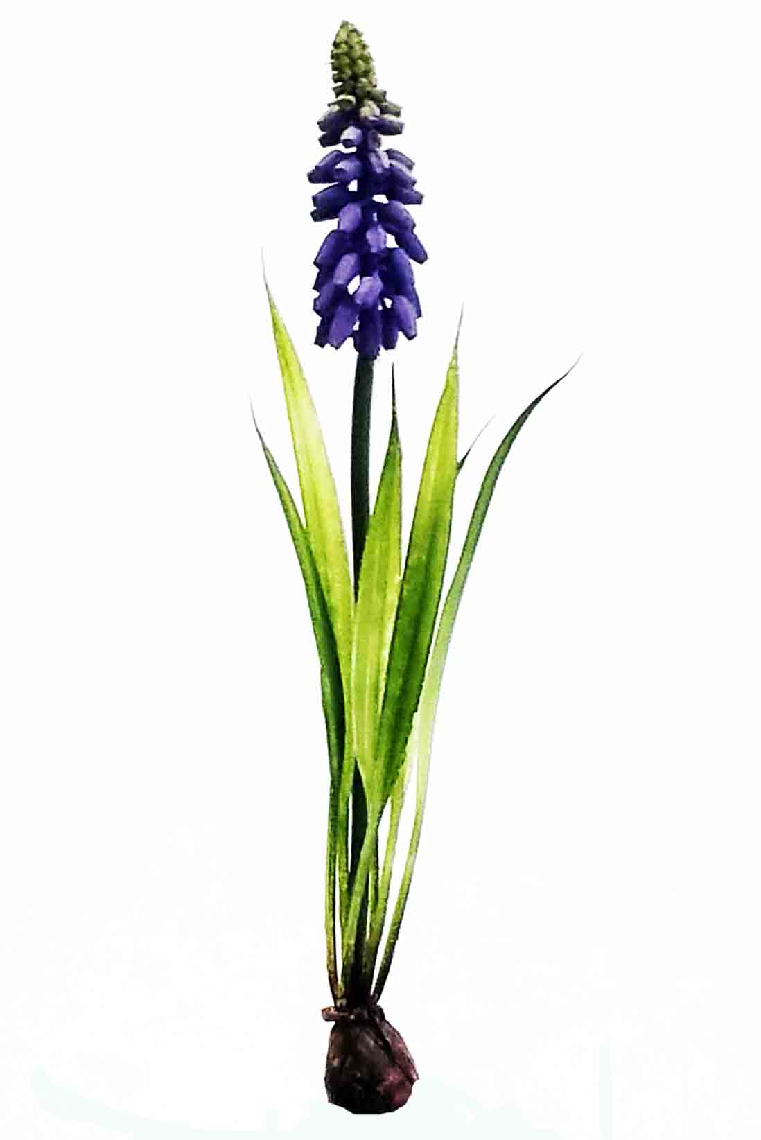 H987 - 9" Plastic Mini Hyacinth - 1.05 ea, .80/48