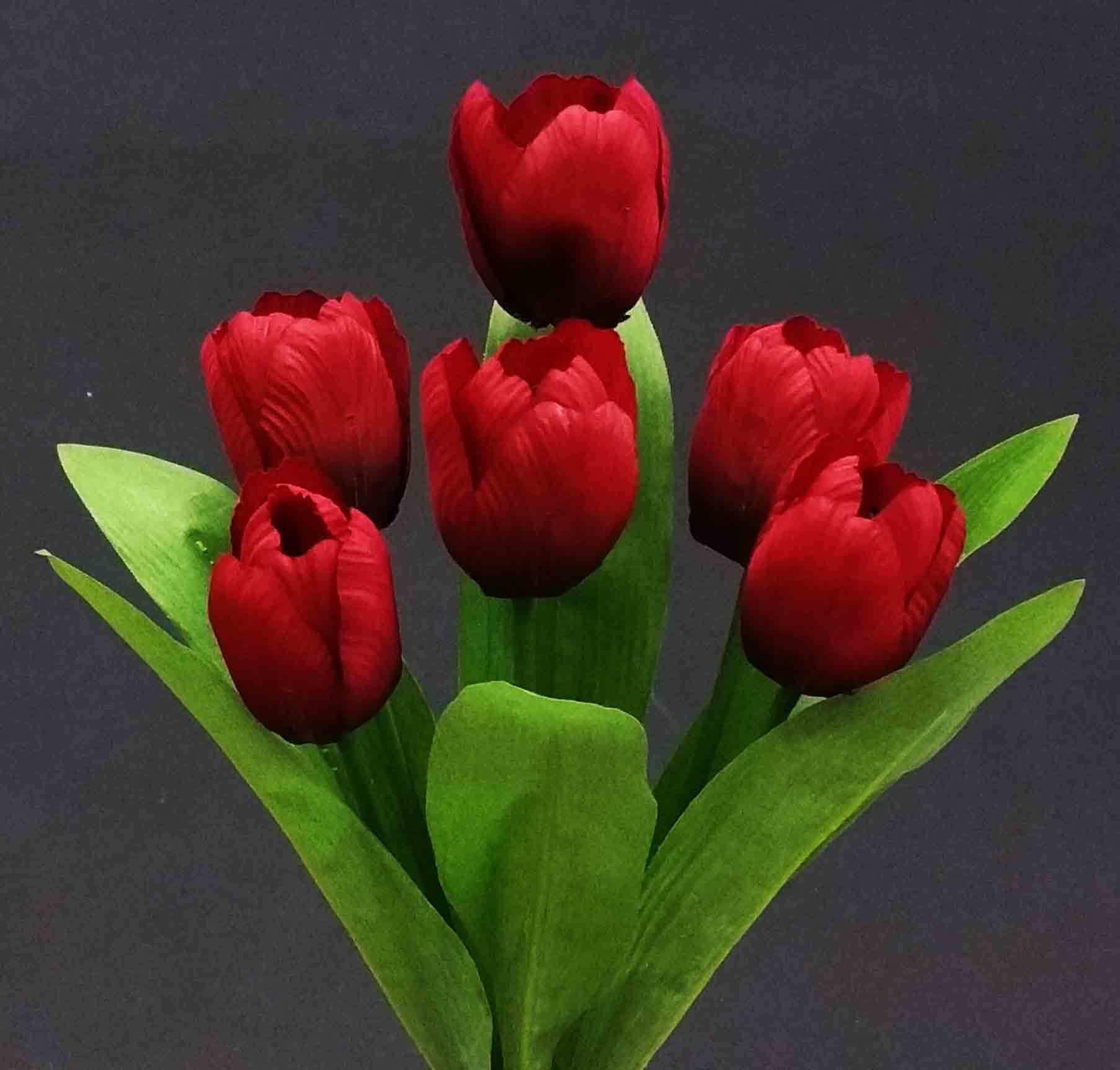 TB6 - 14" Tulip Bush - 4.15 ea, 3.80/12