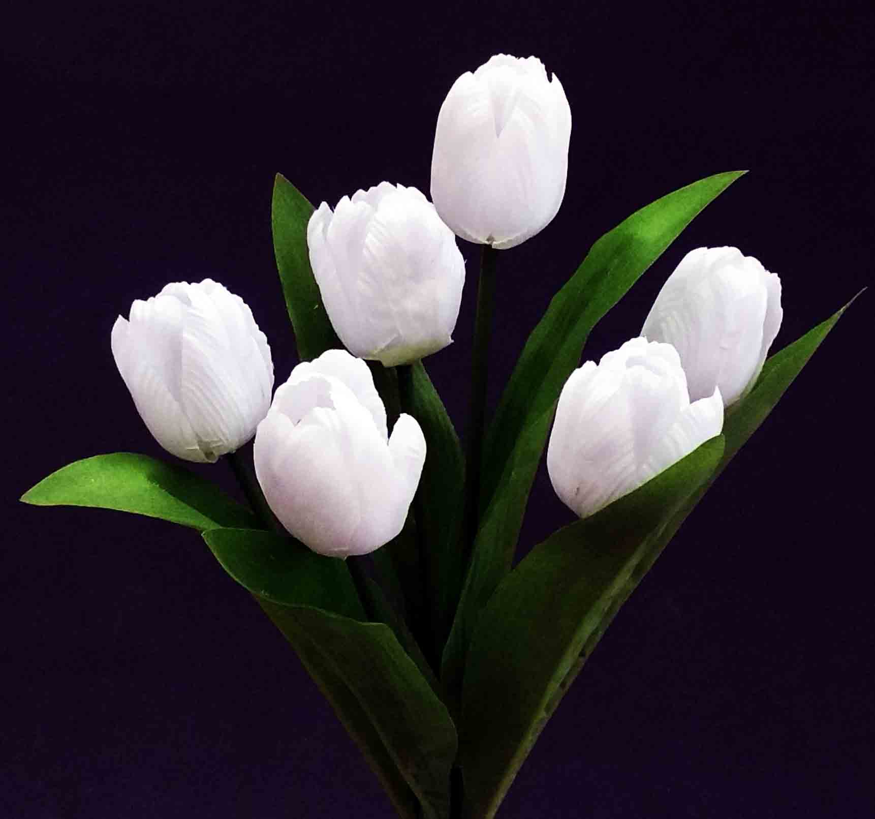 TB6 - 14" Tulip Bush - 4.15 ea, 3.80/12