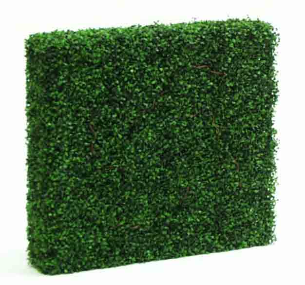 BH32 - Rectangular Boxwood Hedge - 245.00 ea
