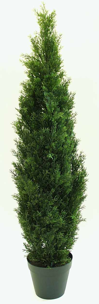 CT72P - 6' Cedar Tree - 172.80 ea