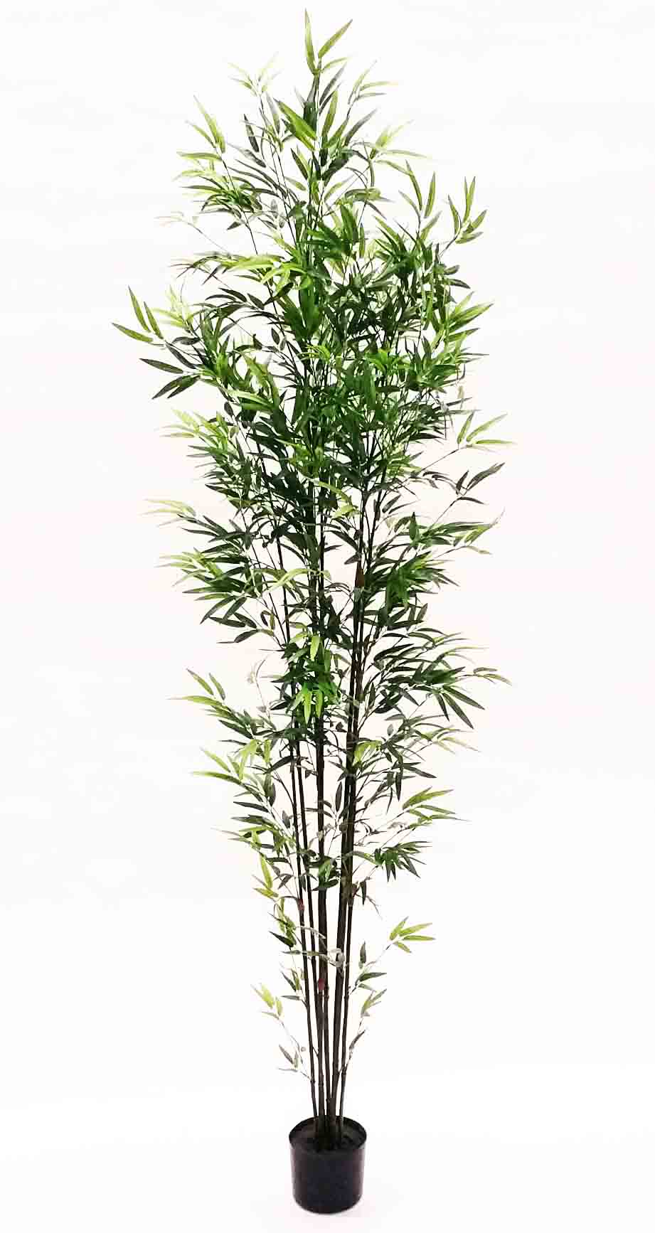 BTP7 - 7' Mini Bamboo Tree - 167.40 ea