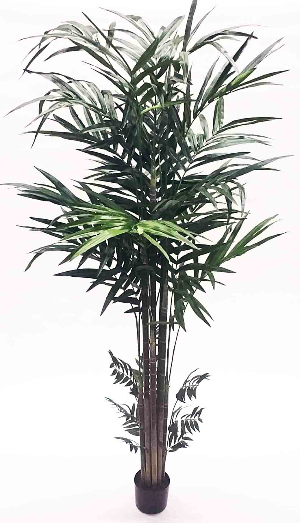 PT10 - 10' Rentia Palm Tree - 240.45