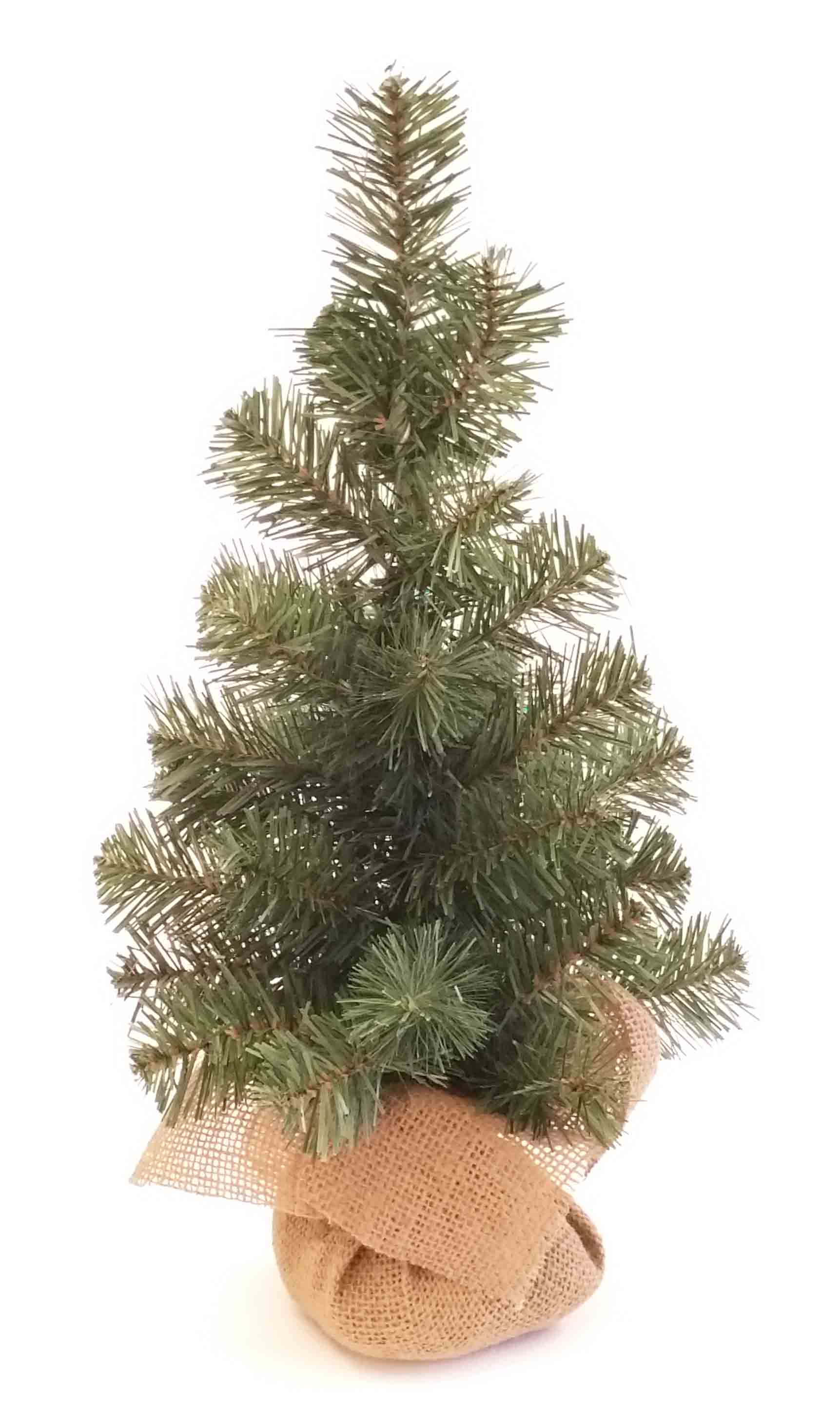 Christmas Trees - Sproule Florist Supply