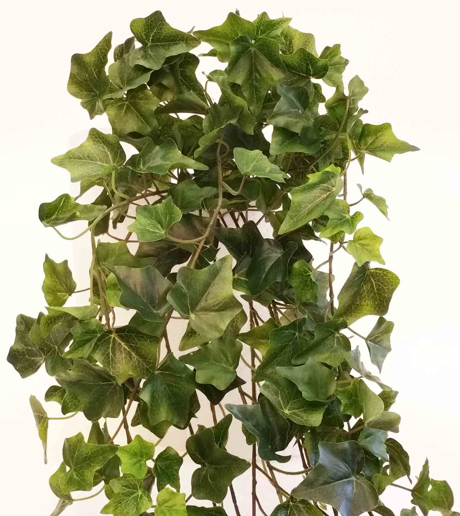 IH72 - 68" Ivy Hanging Bush - 26.50 ea, 25.75/4