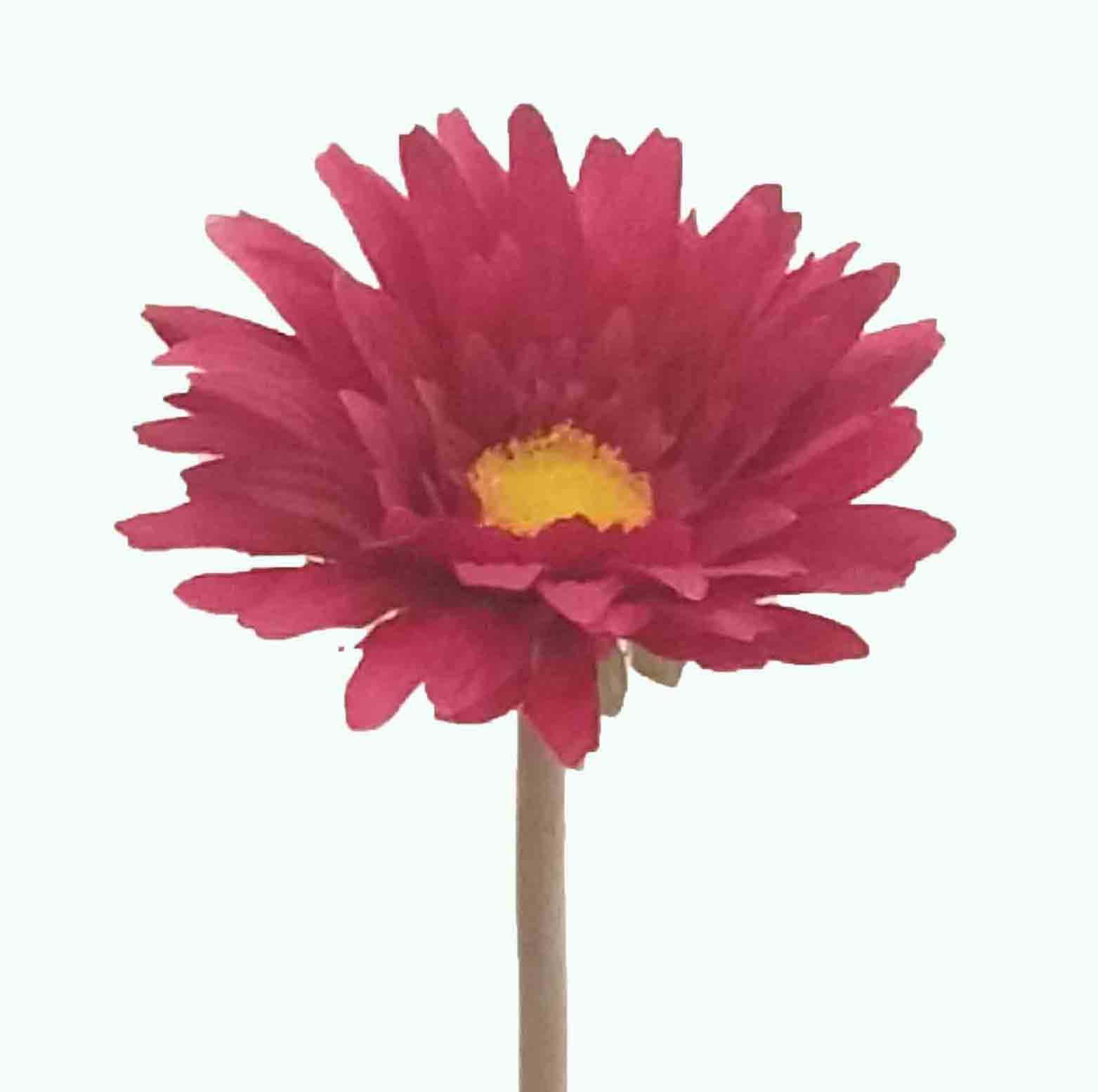 G53 - 21" Gerbera Stem - 1.65 ea, 1.40/12