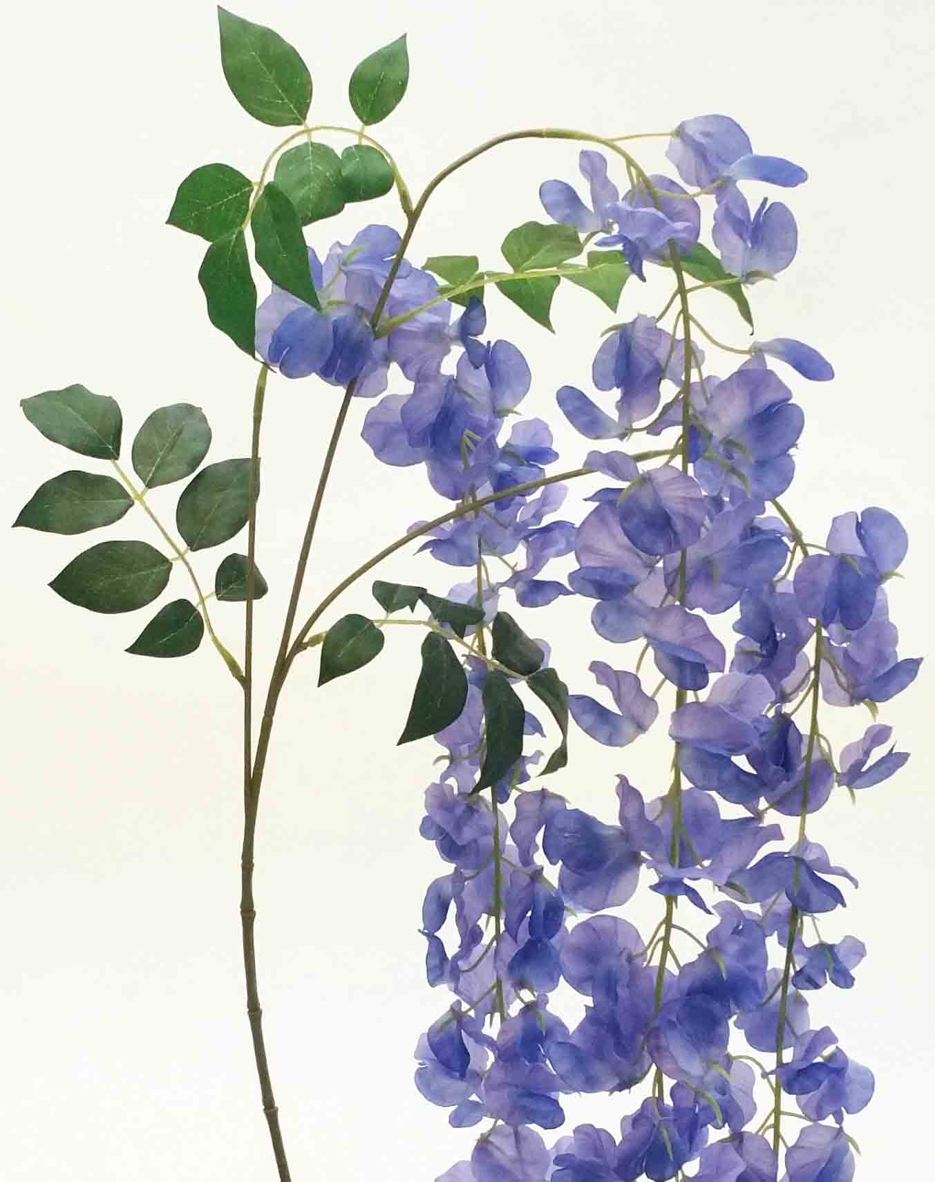 W76 - 48" Light Blue Wisteria - 7.95 ea, 7.30/12