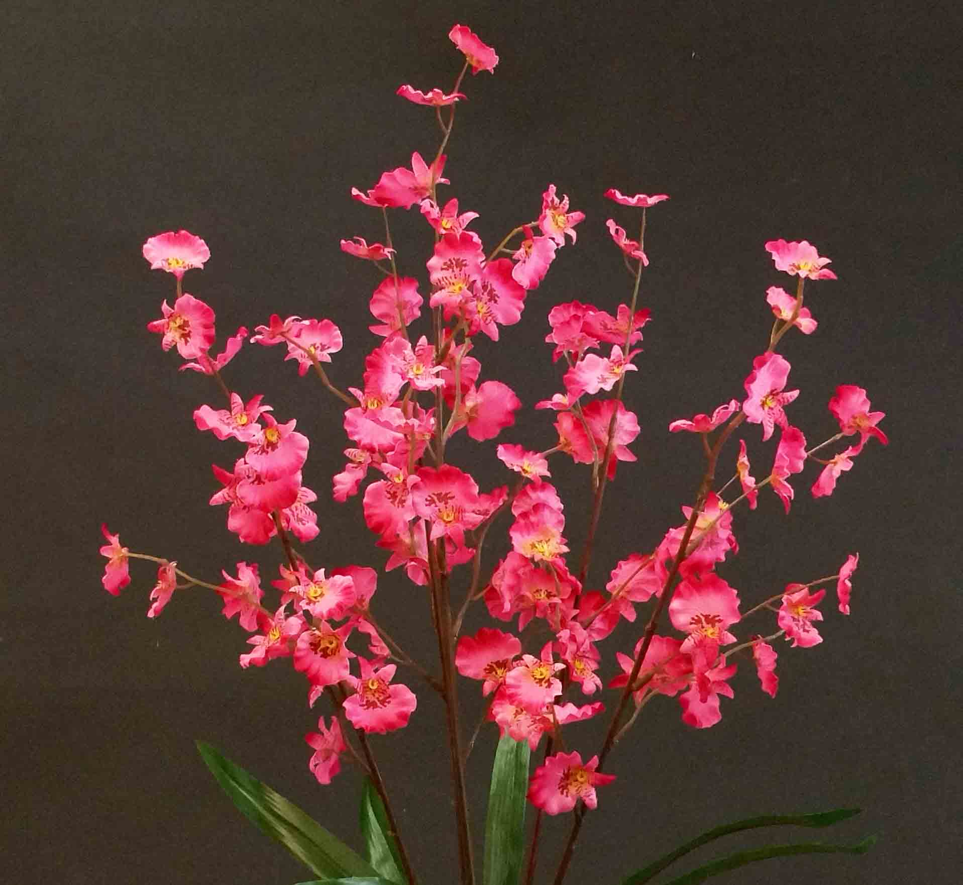 OB55 - 23" Dancing Orchid Bush - 4.65 ea