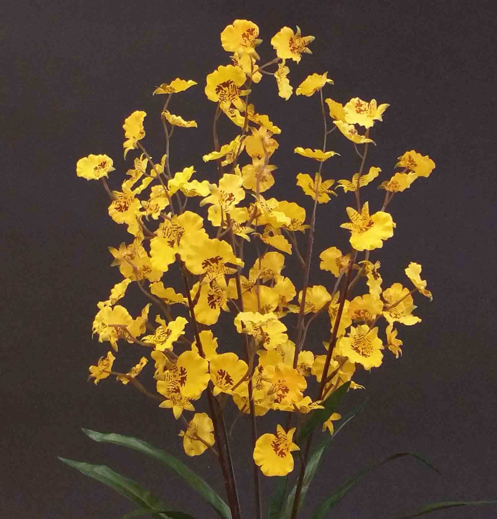 OB55 - 23" Dancing Orchid Bush - 4.65 ea