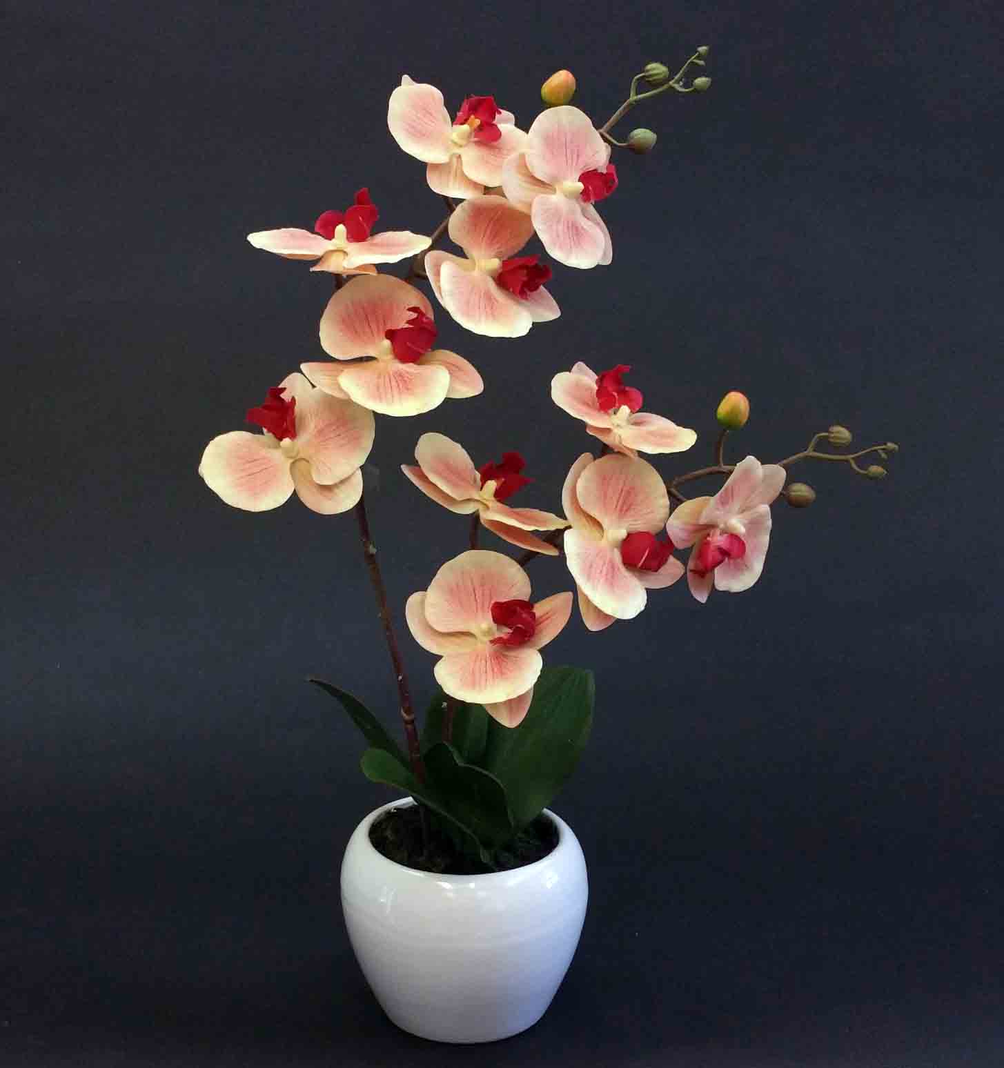 OP18P - 18" Orchid Arrangement - 20.45 ea