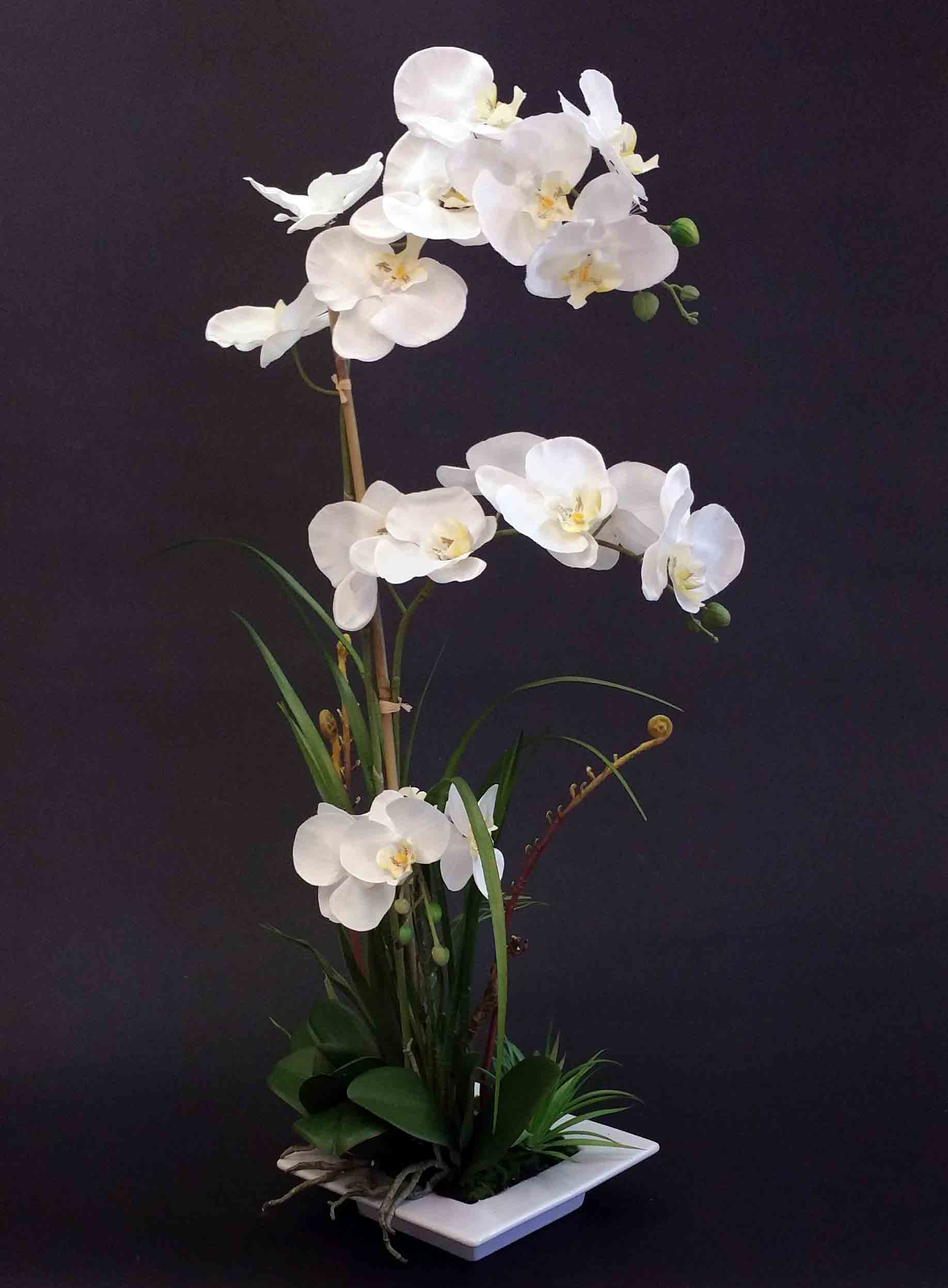 OP30P - 30" Orchid Arrangement - 59.95 ea