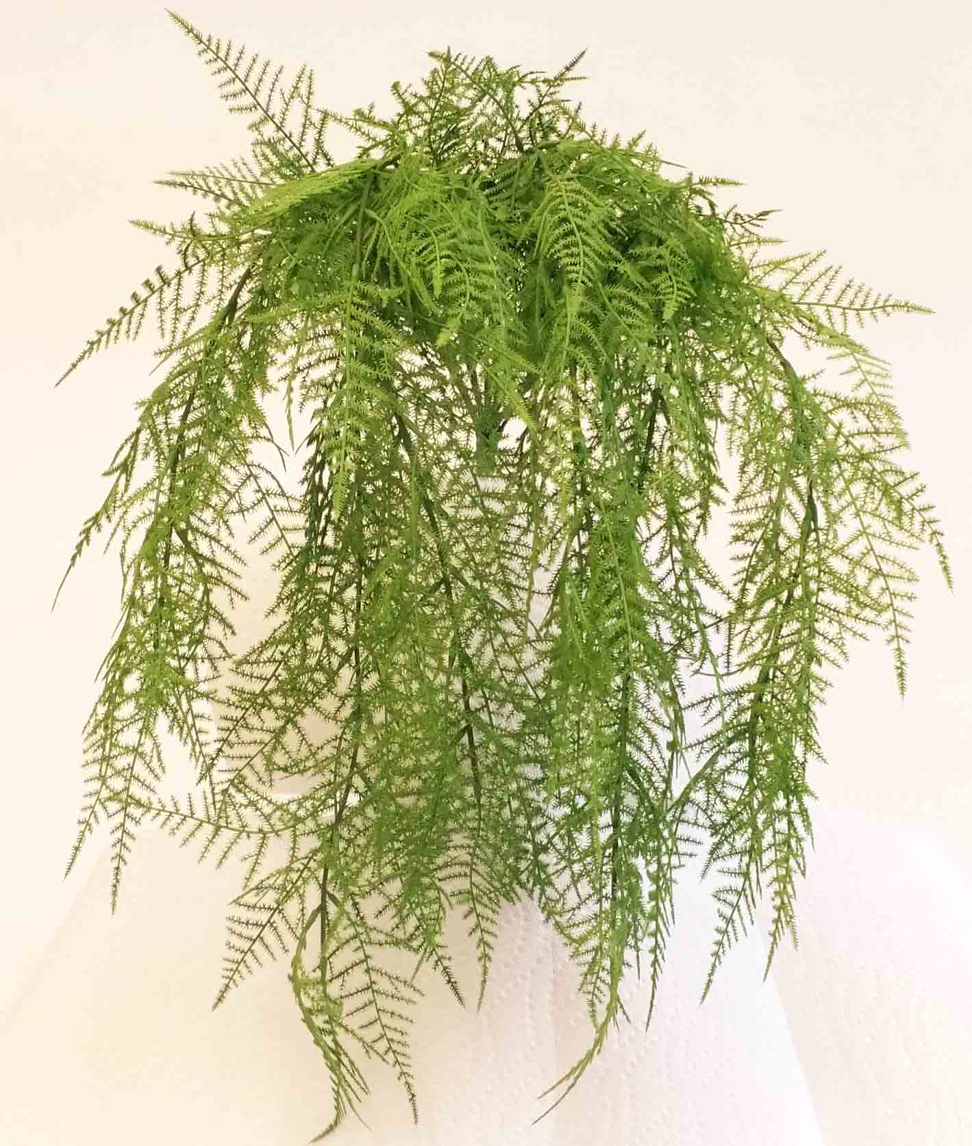 AB28 - 25" Asparagus Hanging Bush - 13.65 ea