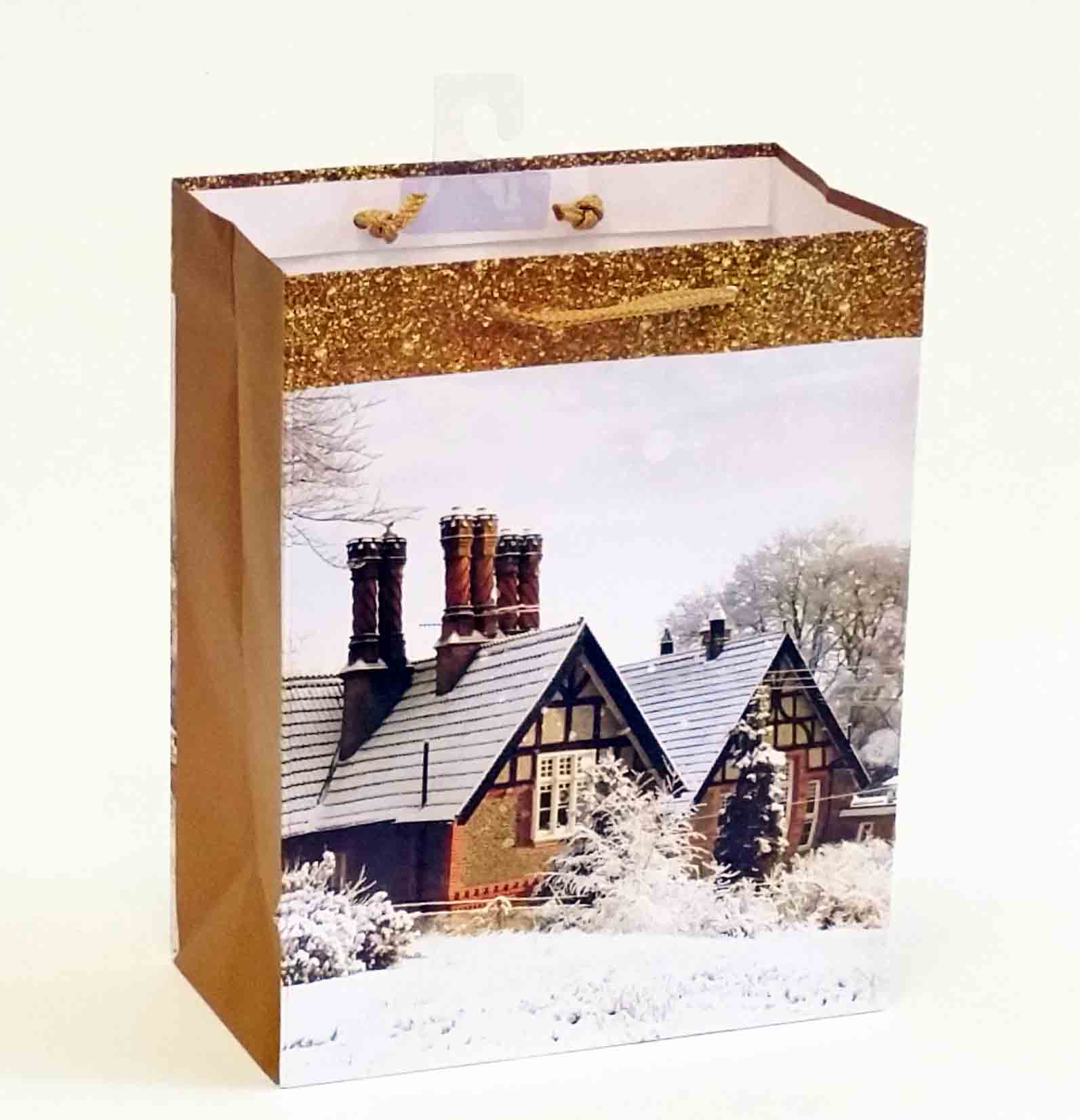 X316 - 4 x 7 x 9" Medium Gift Bag - .95 ea, .75/12