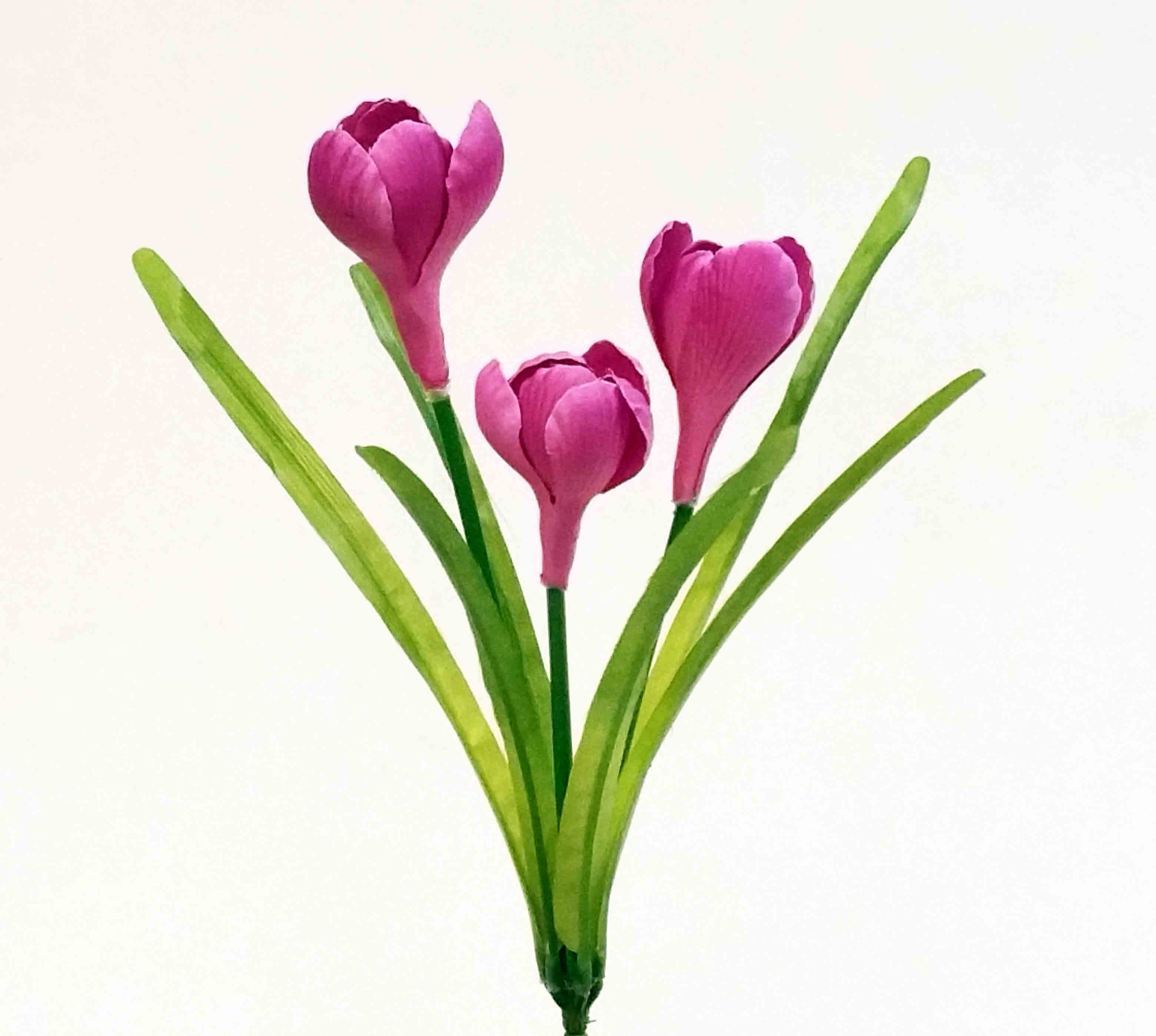 CP53 - 9.5" Crocus - 1.95 ea, 1.60/24