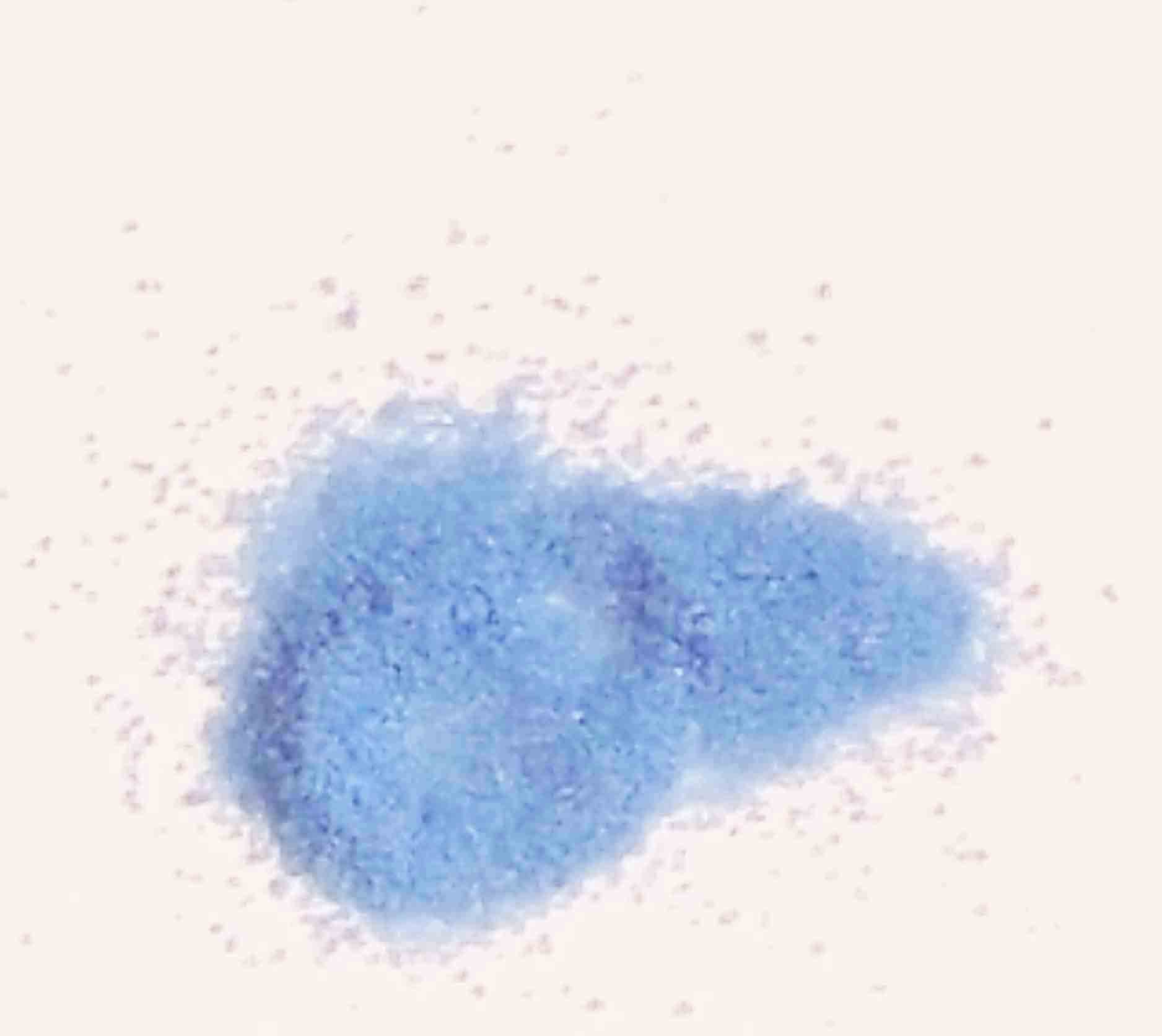 4860 - Decorative Sand -    Blue - 2.10 bag, 1.90/10