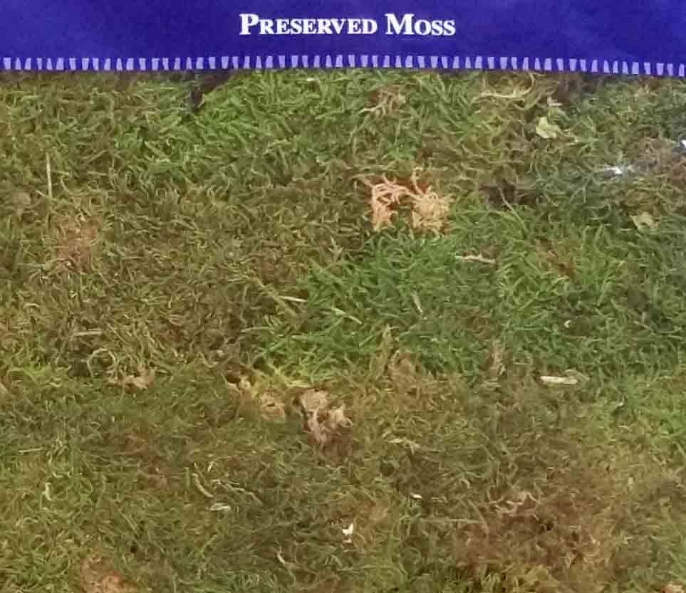 1513 - Preserved Sheet Moss - 16 oz bag - 27.60 bag