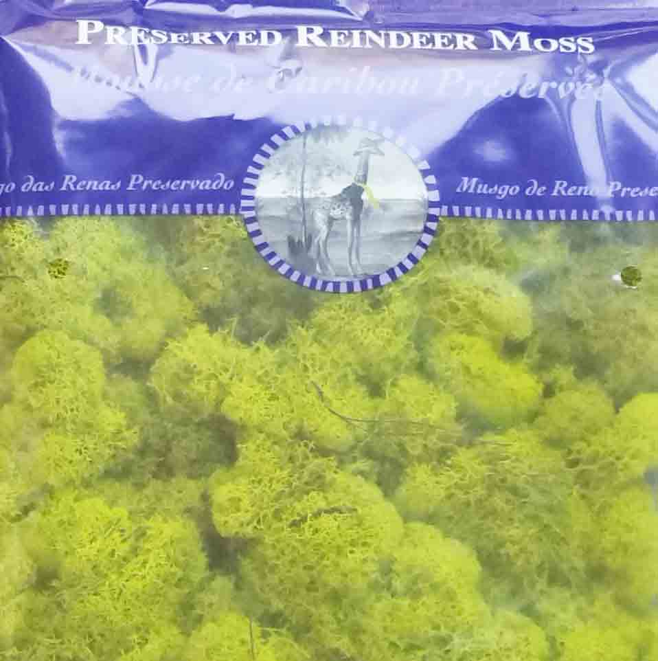 2304 - Preserved Reindeer Moss - 18.25 bag