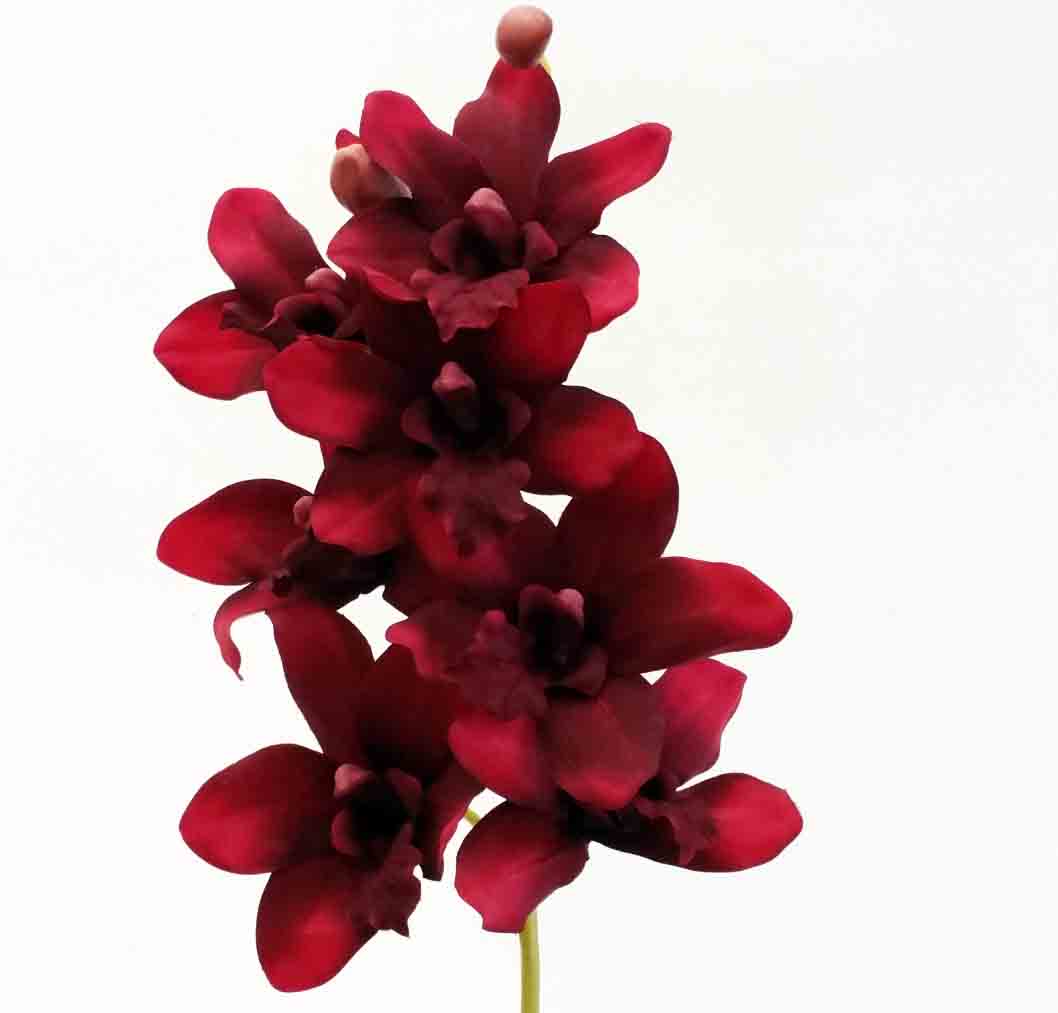 O38 - 38" Cymbidium Orchid Spray - 6.95 ea