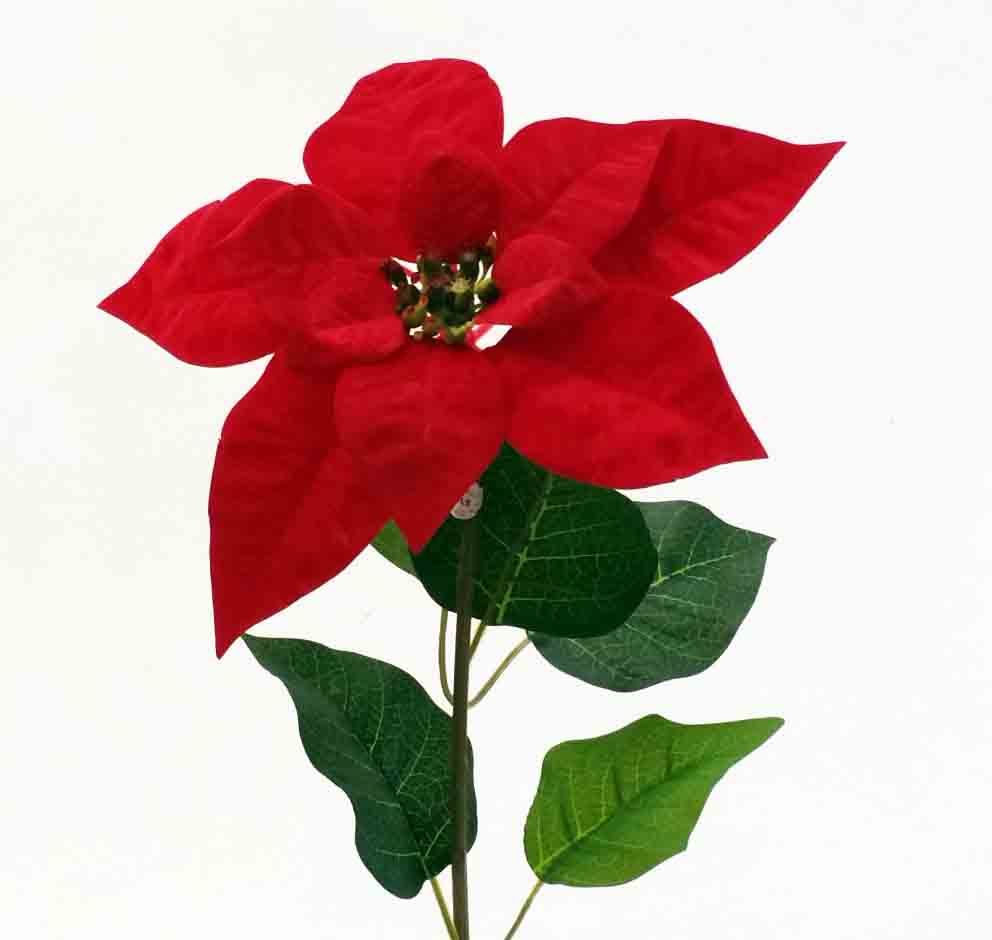 X264 - 21" Single Poinsettia Stem - 2.75 ea, 2.50/12