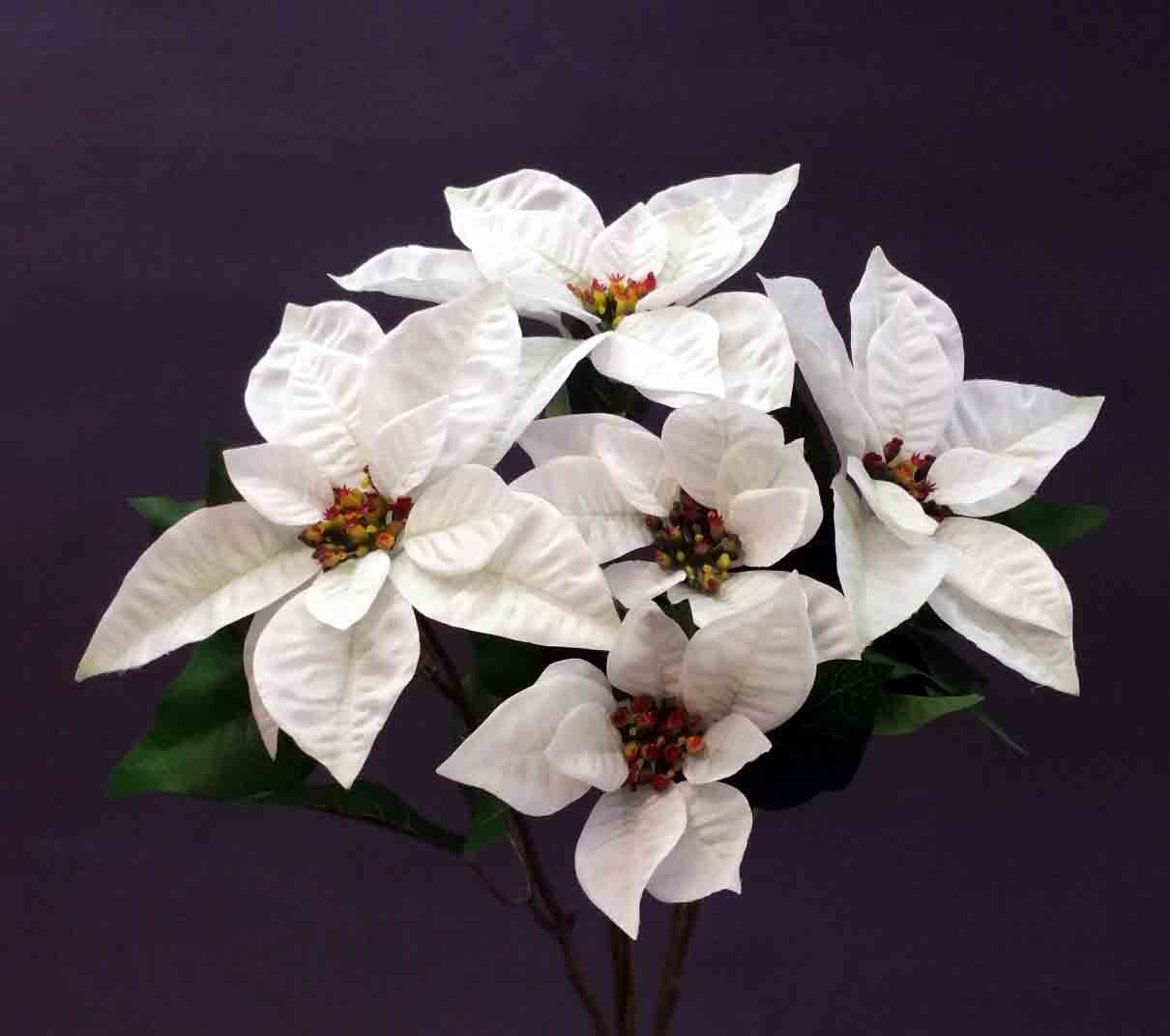 X263 - 17" Poinsettia Bush - 9.95 ea