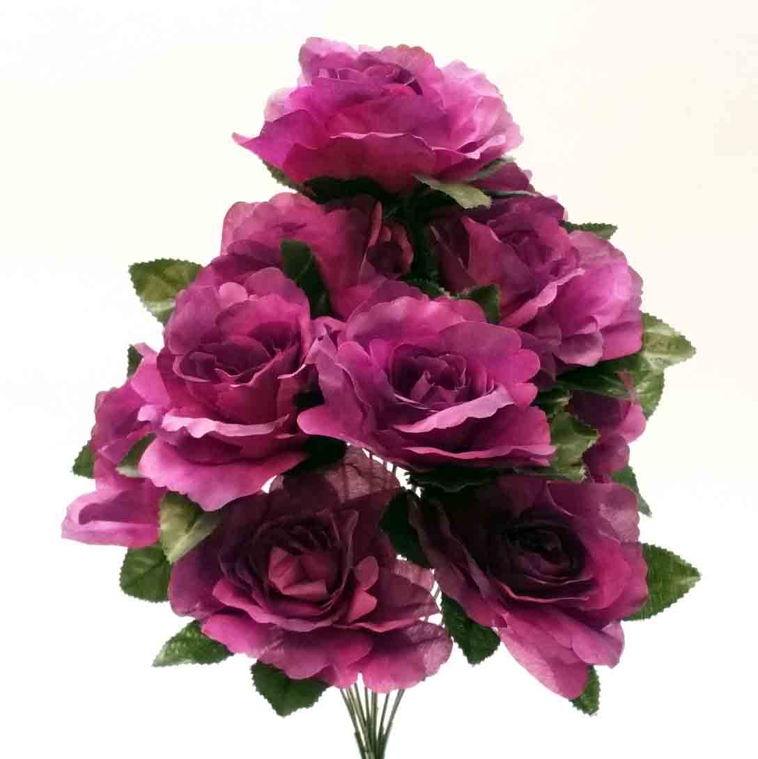 RBE12 - 16" Purple Econo Rose Bush - 7.50 ea, 6.95/12