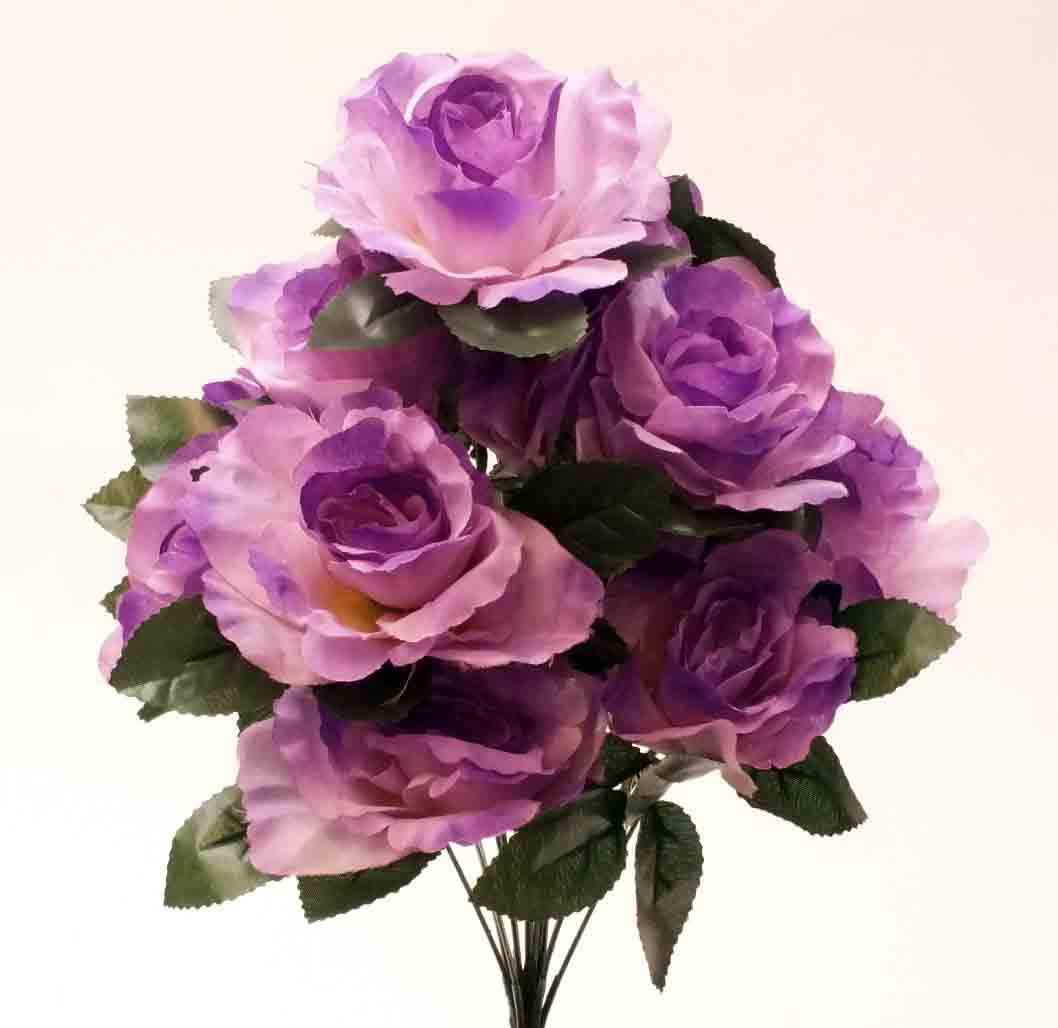 RBE12 - 16" Lavender Econo Rose Bush - 7.50 ea, 6.95/12