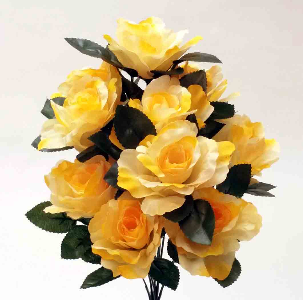 RBE12 - 16" Yellow Econo Rose Bush - 7.50 ea, 6.95/12