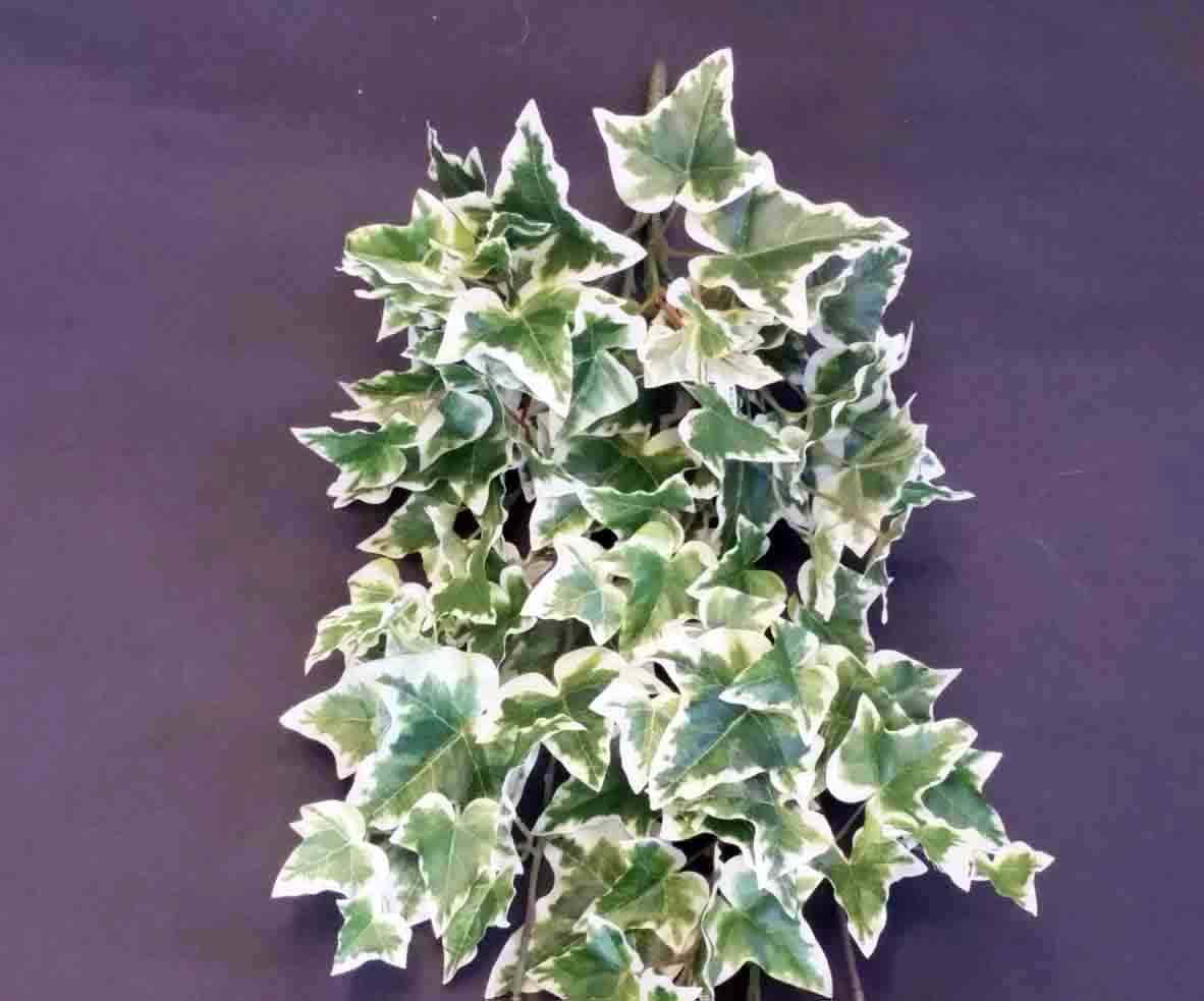 IV35 - 35" Hanging Ivy Bush - 15.60 ea