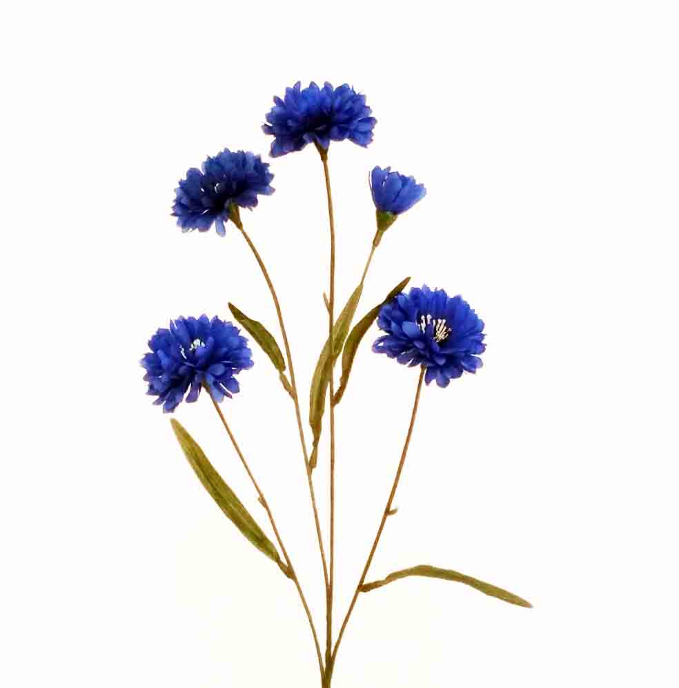 C74 - 21" Cornflower Spray - 2.10 ea, 1.80/24