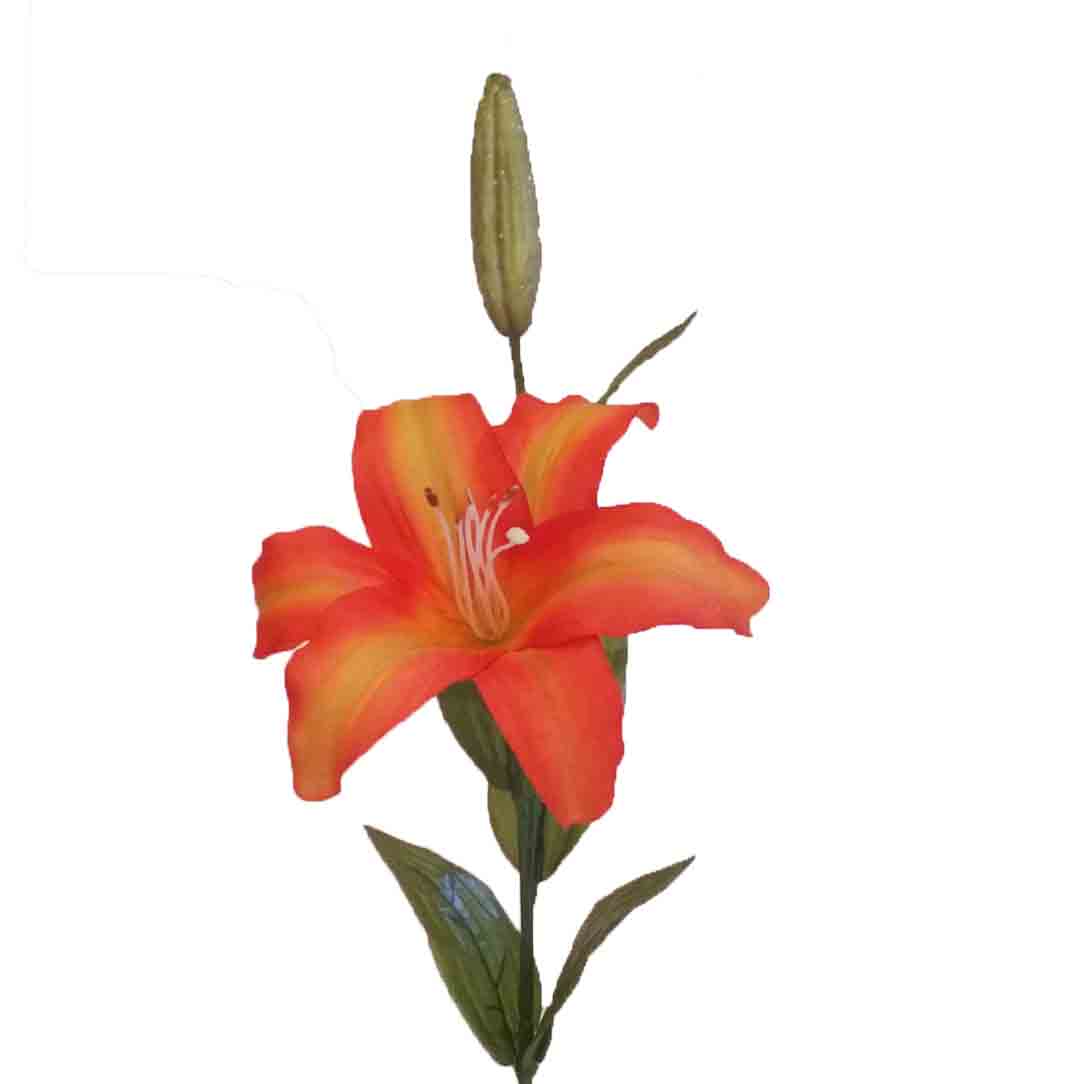 L260 - 24" Casablanca Lily x 1 with Bud - 1.95 ea, 1.65/12