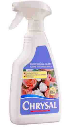 7100 - Chrysal Glory Spray - 14.70 ea