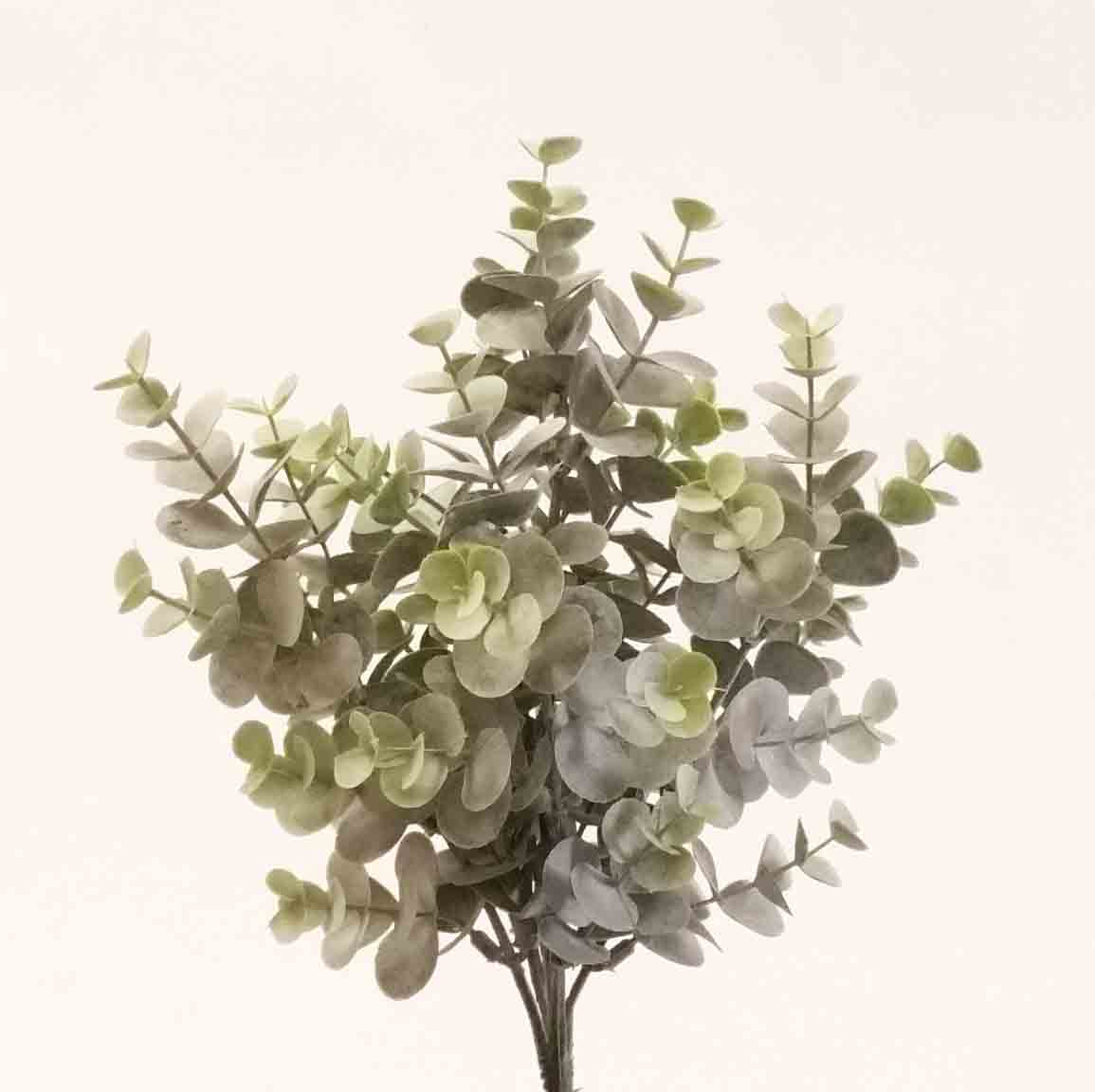 EB13 - 13" Eucalyptus White Wash Bush - 5.10 ea