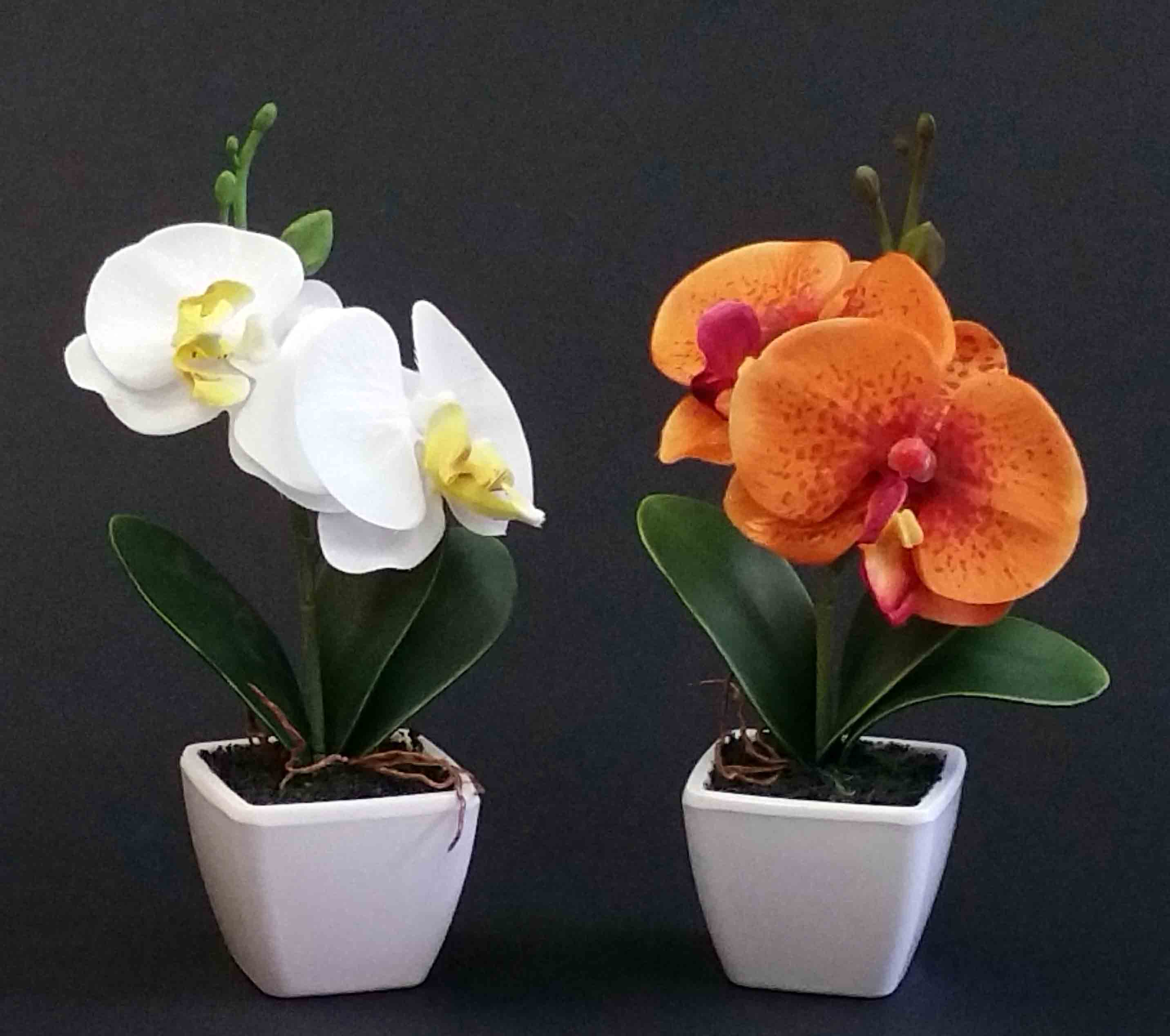 OP68P - 7" Potted Orchid - 3.75 ea, 3.45/12