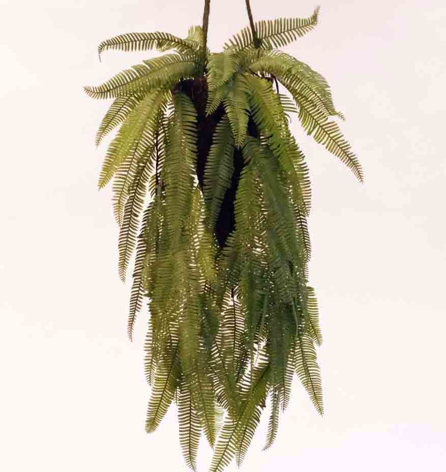 HB72 - 25" Hanging Cone Shape Parrotia - 20.70 ea