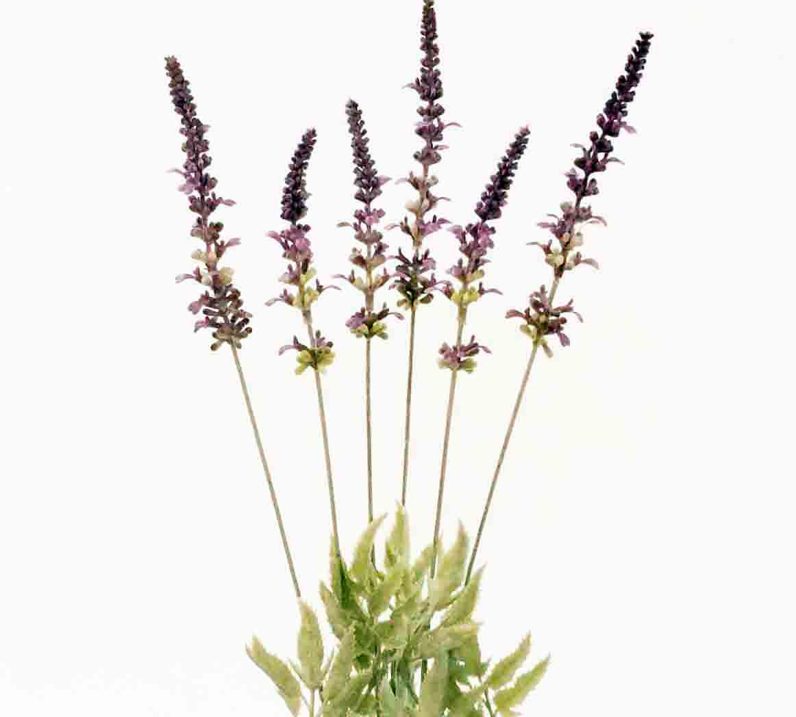 LB94 - 21" Garden Lavender Bush - 4.45 ea, 4.10/12