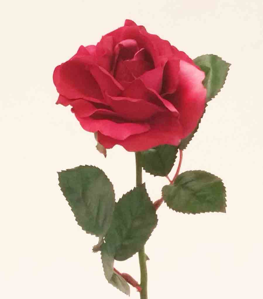 R47 - 14" Medium Open Rose - 2.80 ea, 2.55/12