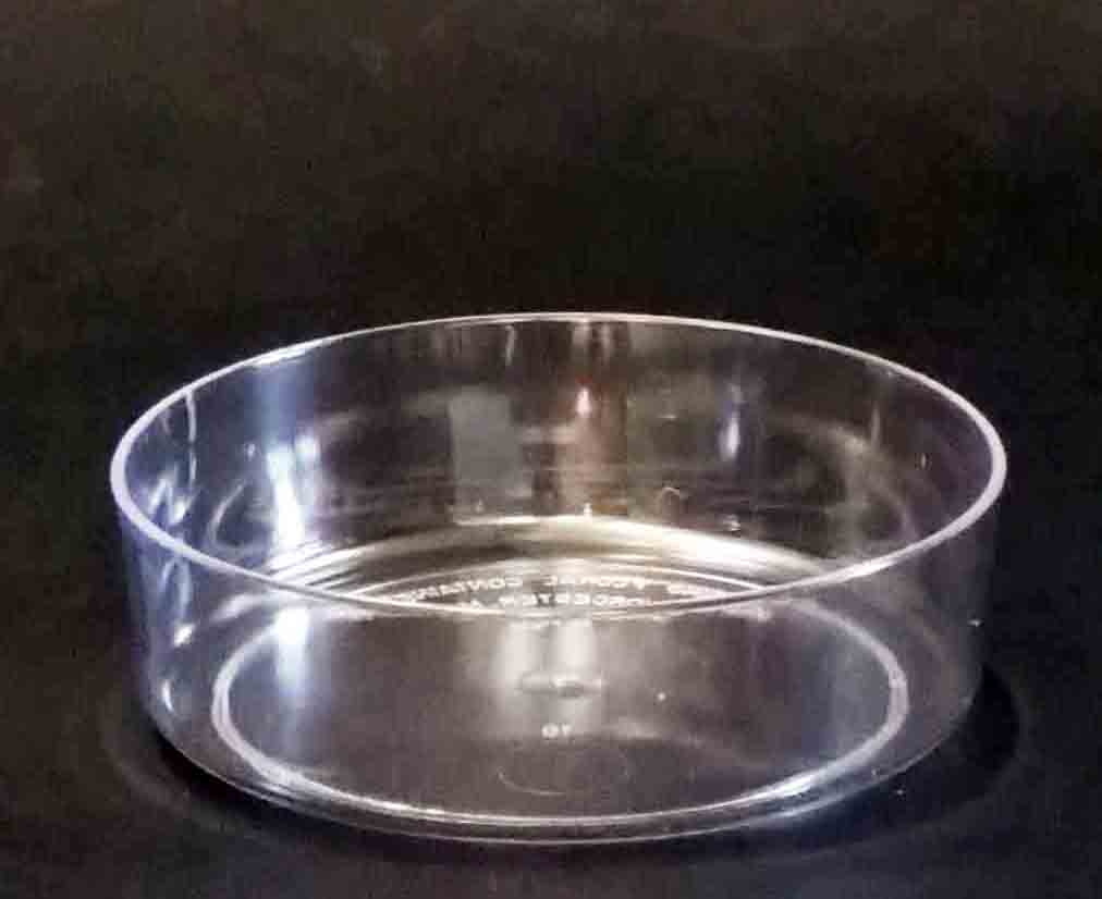 1796 - 6" Round Design Tray - 2.05 ea, 1.85/28