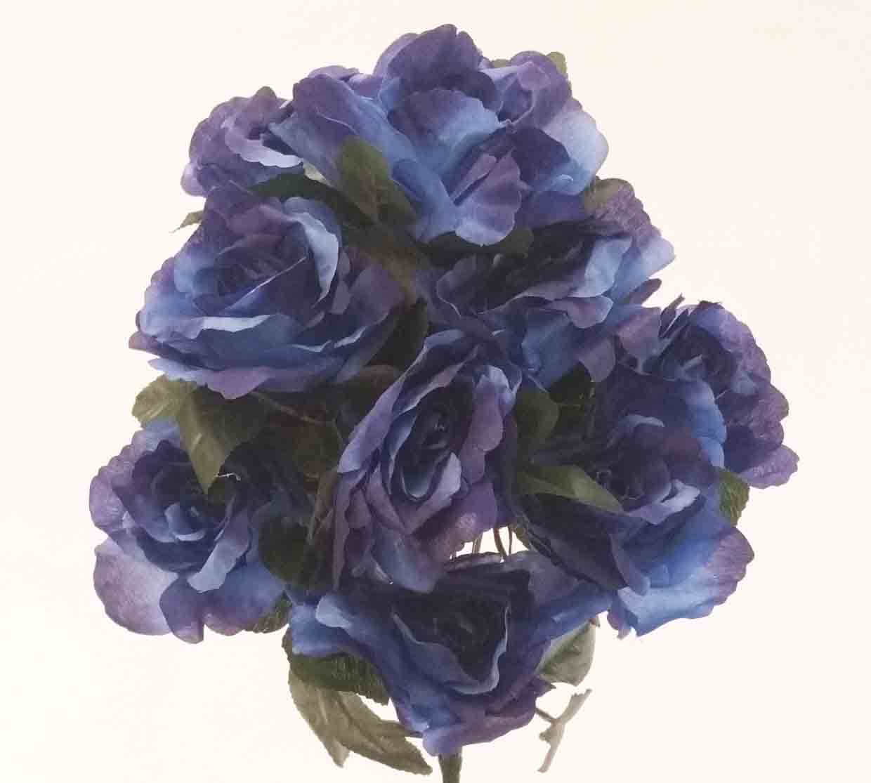 RBE12 - 16" Dark Blue Econo Rose Bush - 7.50 ea, 6.95/12