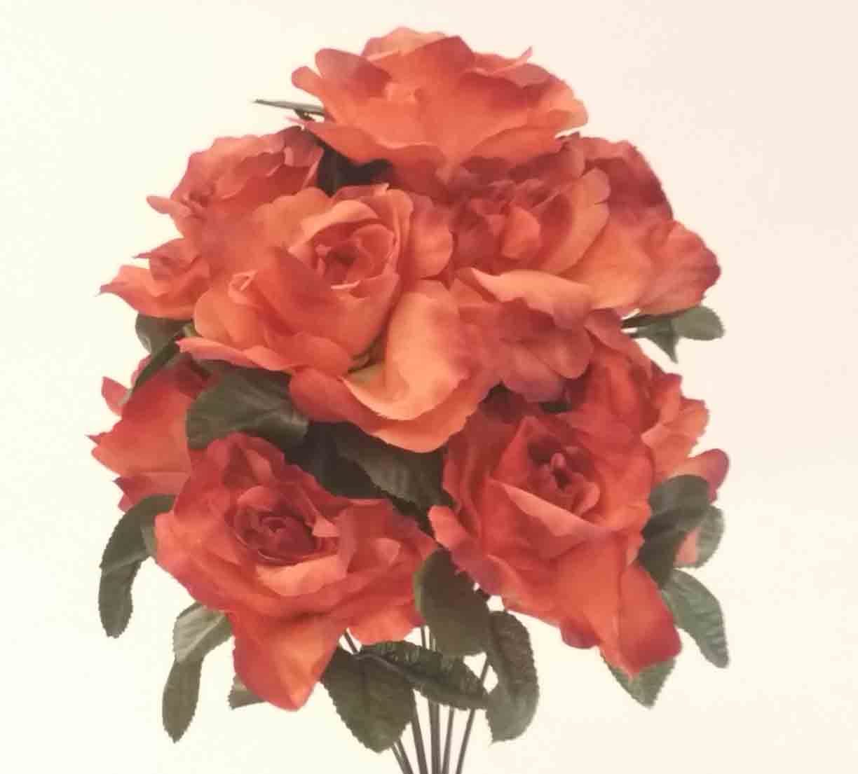 RBE12 - 16" Brown Econo Rose Bush - 7.50 ea, 6.95/12
