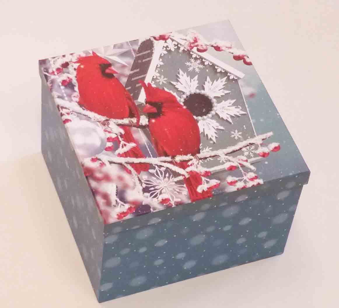 X161 - Square Jumbo Gift Boxes - 24.50 set of 6